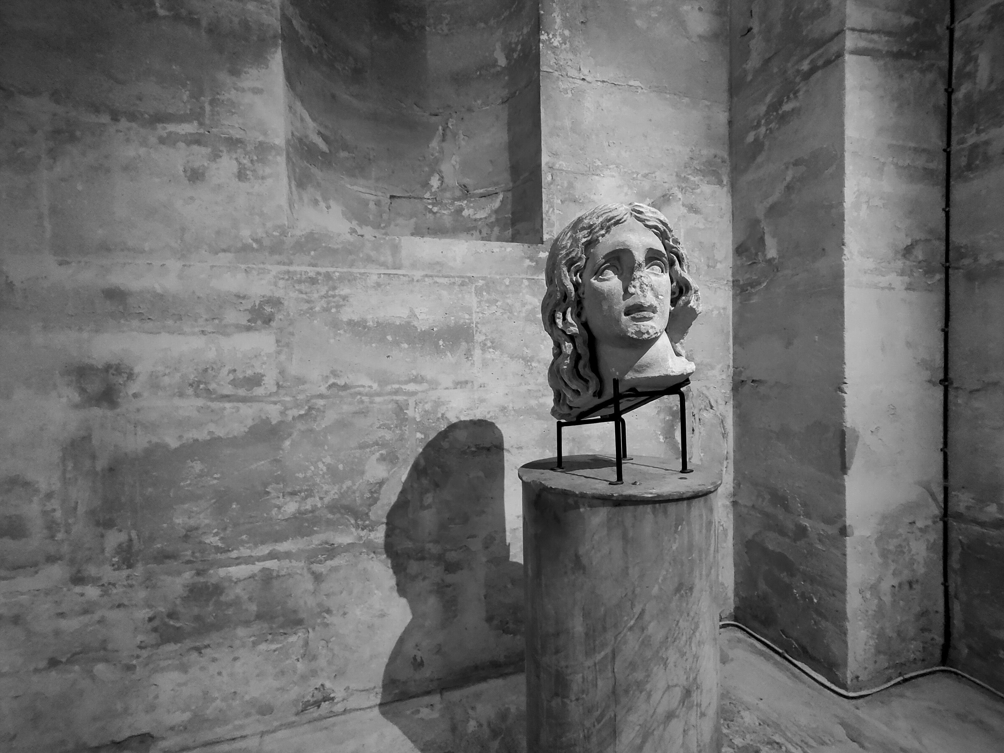 da chieu sang tao anh 6