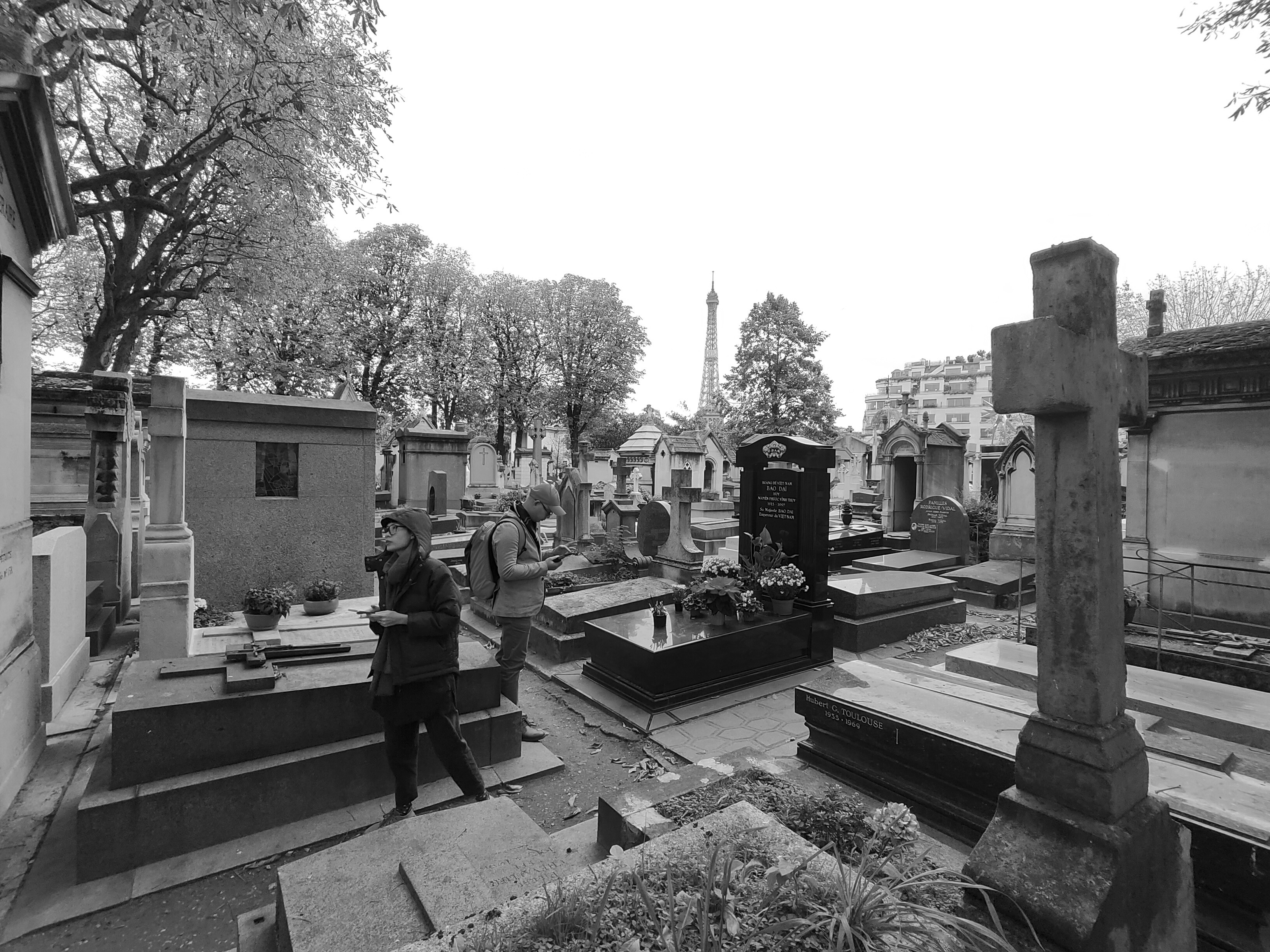 da chieu sang tao anh 32