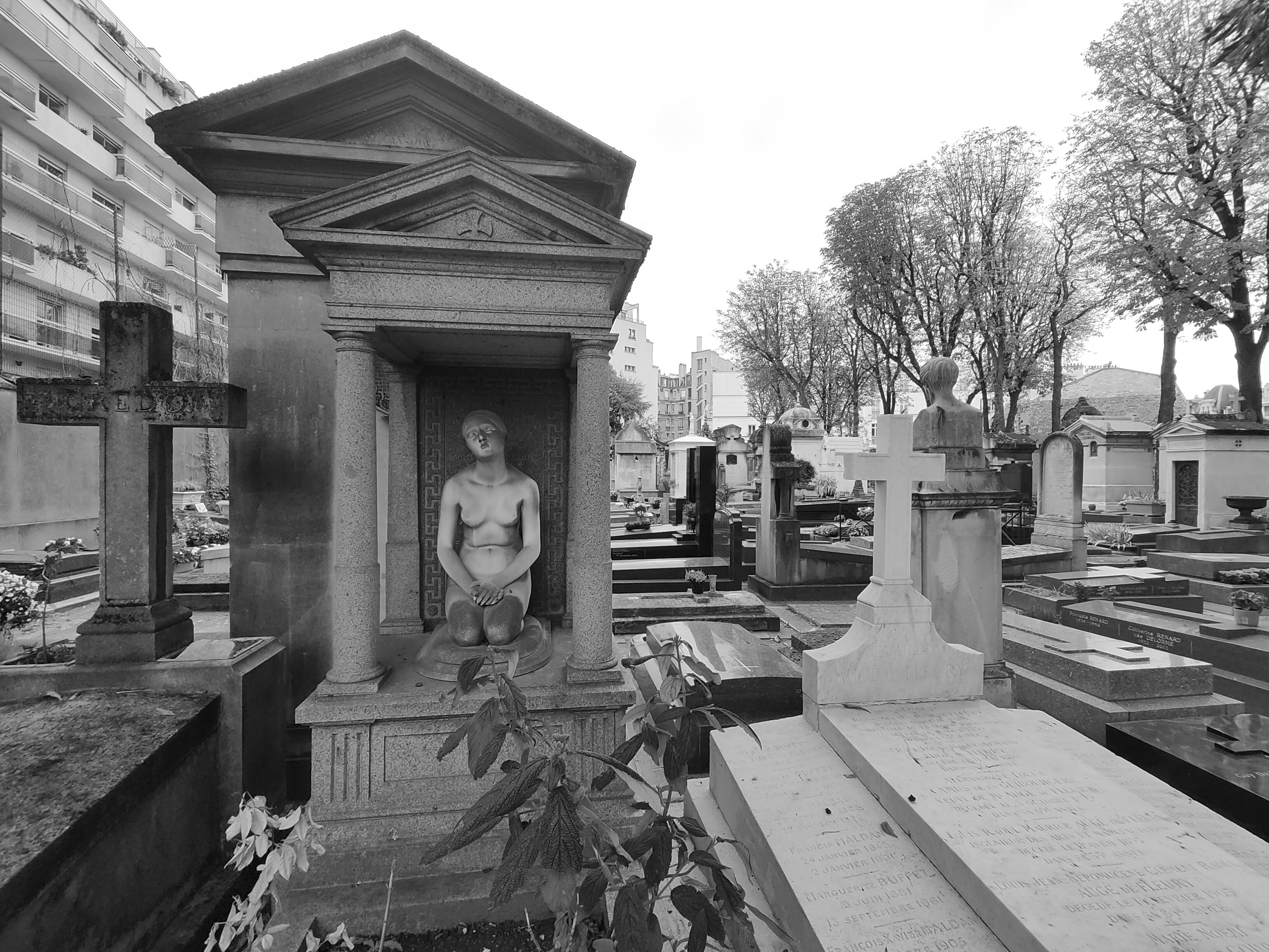 da chieu sang tao anh 10