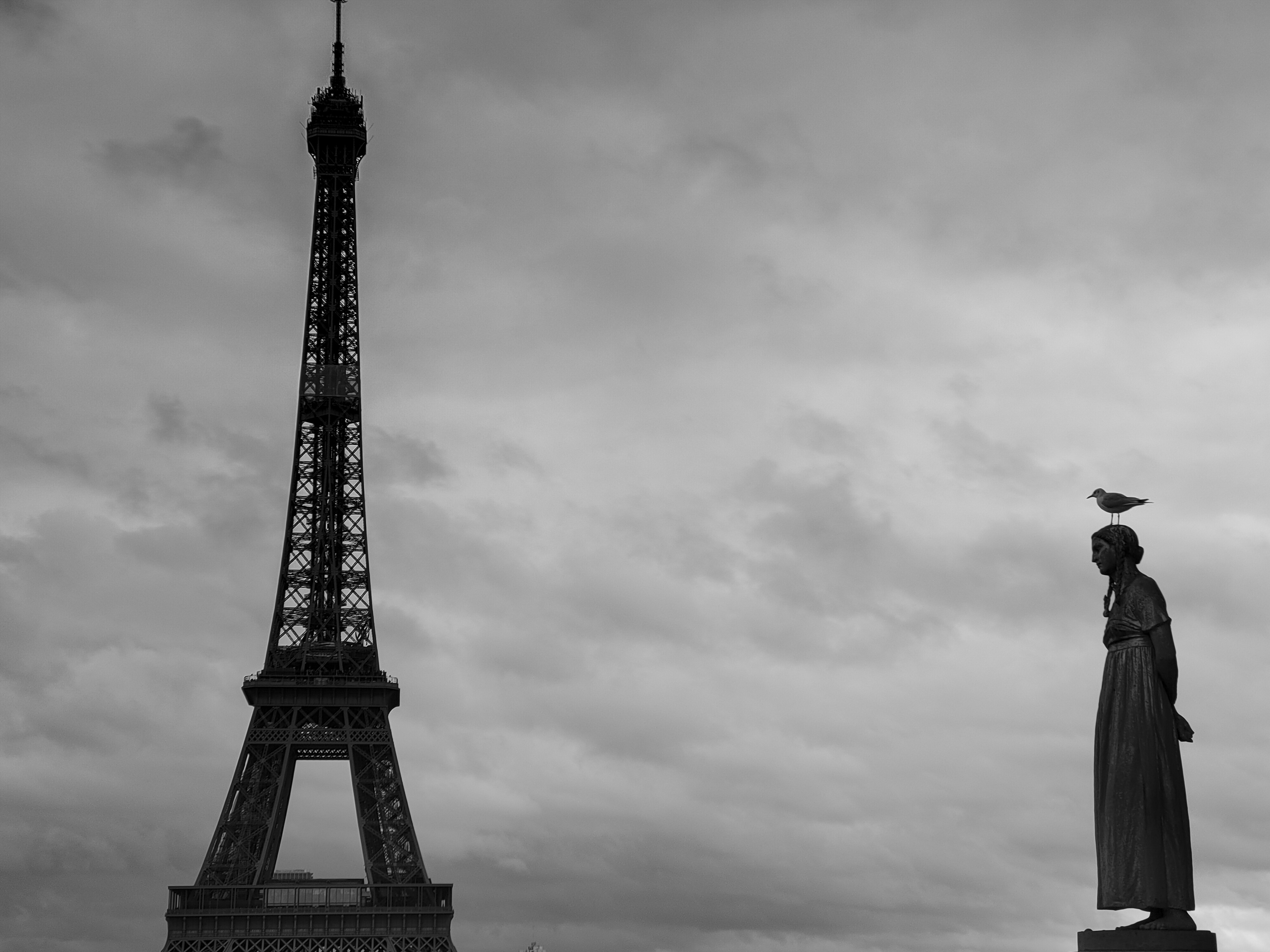 da chieu sang tao anh 1