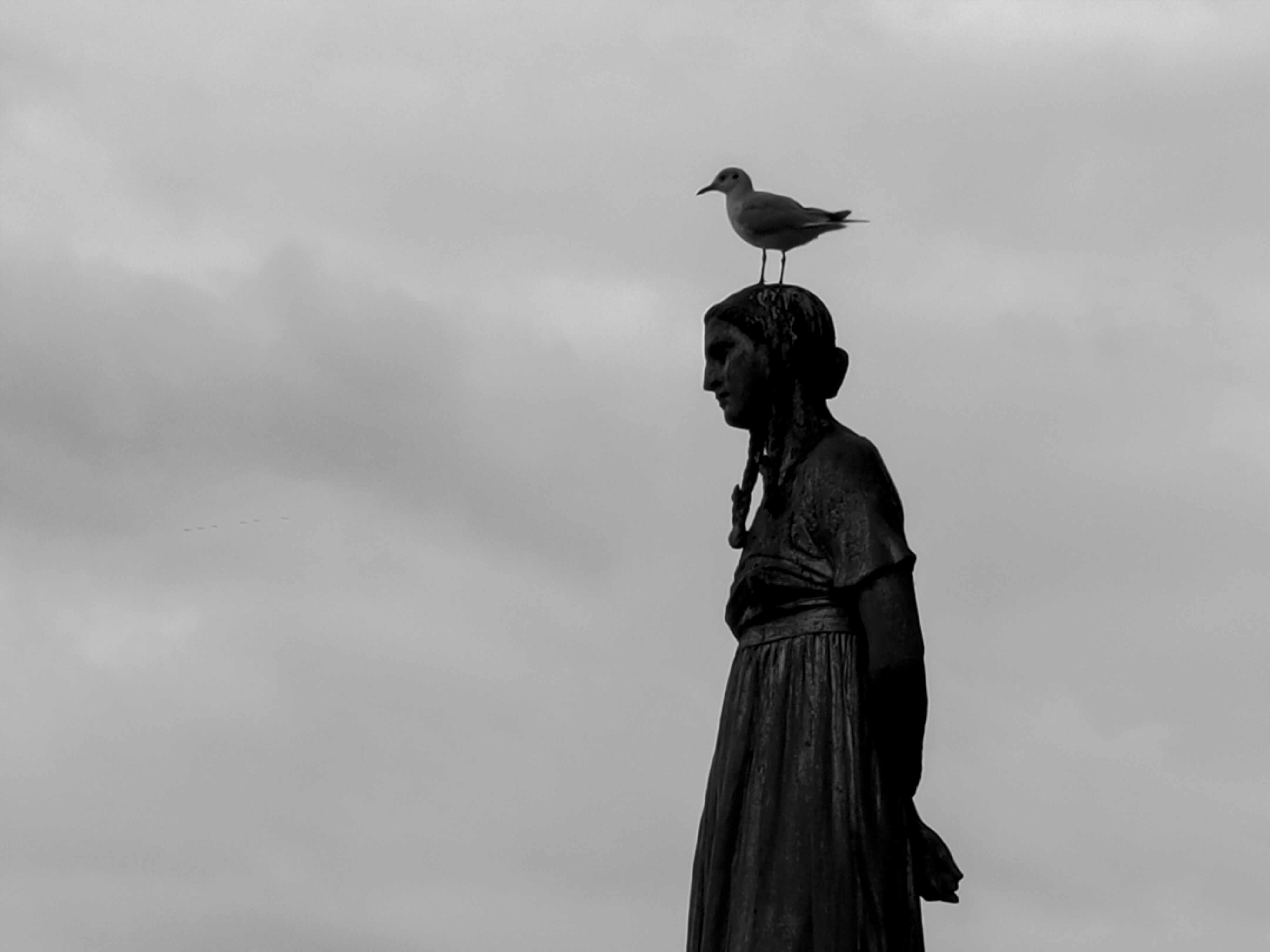 da chieu sang tao anh 9