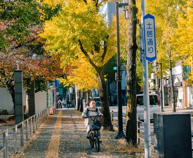 Nhat Ban va nhung sac thu trong pho hinh anh