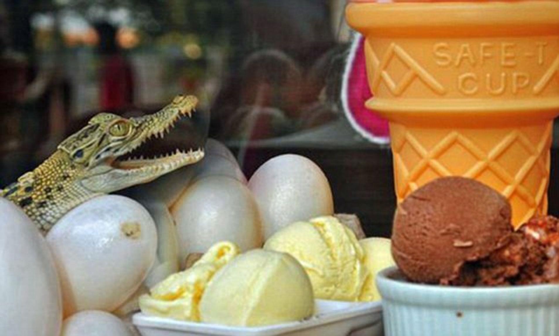 An thu kem trung ca sau o Philippines hinh anh