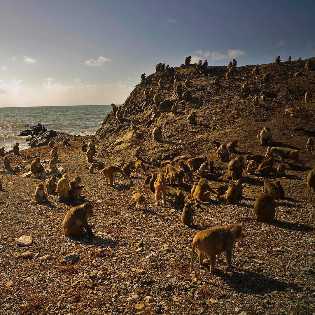 dong vat,  dia diem du lich,  vung dat dong vat anh 14