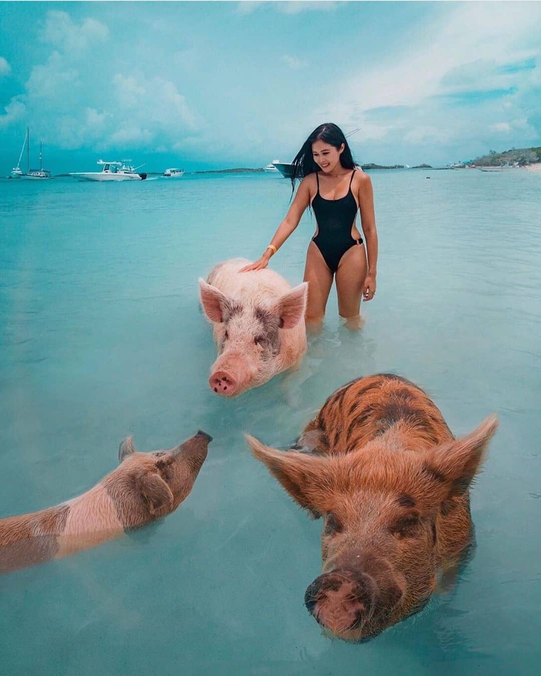 dong vat,  dia diem du lich,  vung dat dong vat anh 1