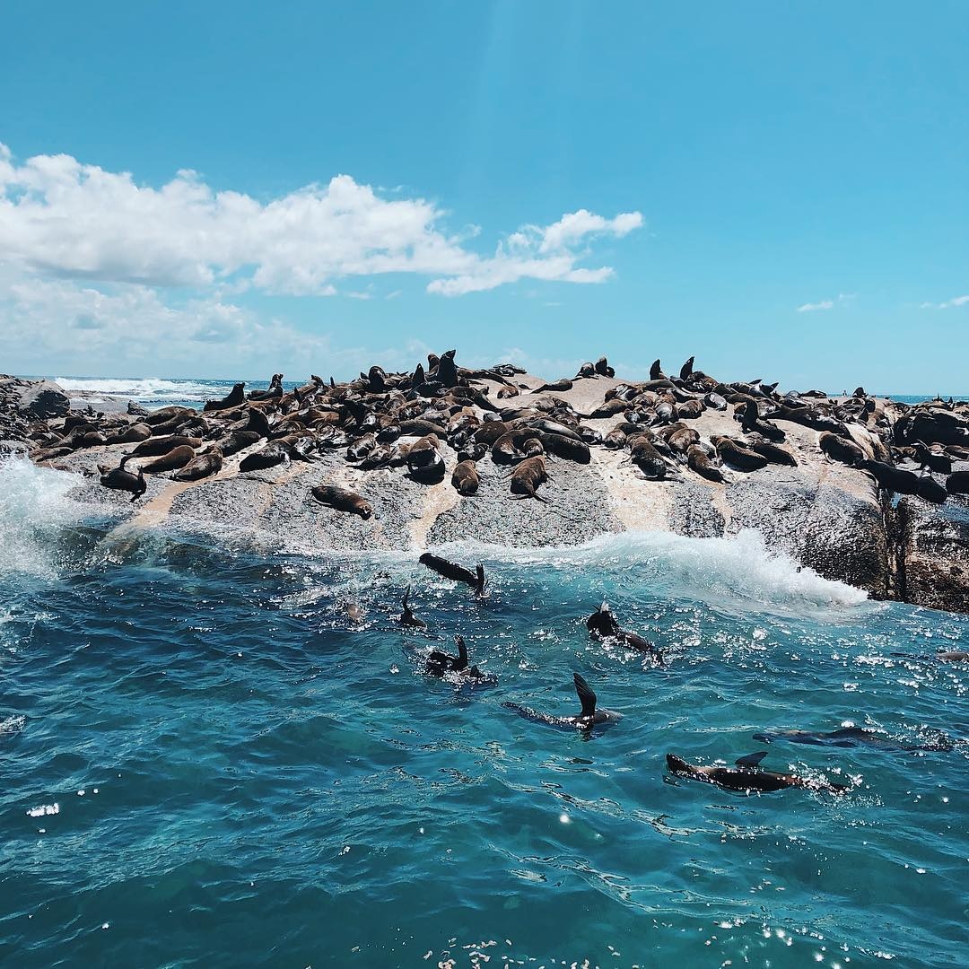 dong vat,  dia diem du lich,  vung dat dong vat anh 12