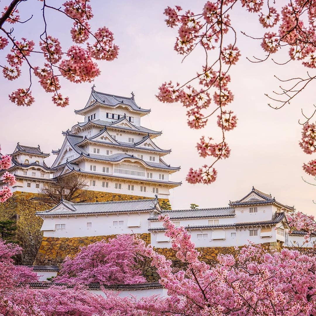 Du lich Nhat Ban anh 2