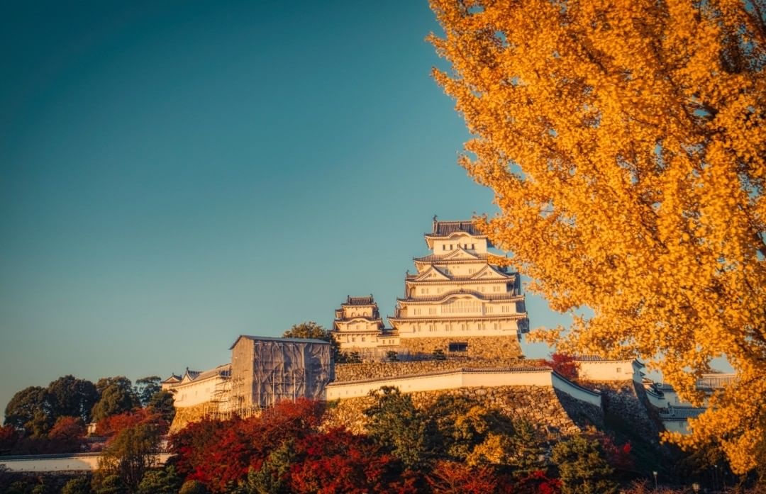 Du lich Nhat Ban anh 5