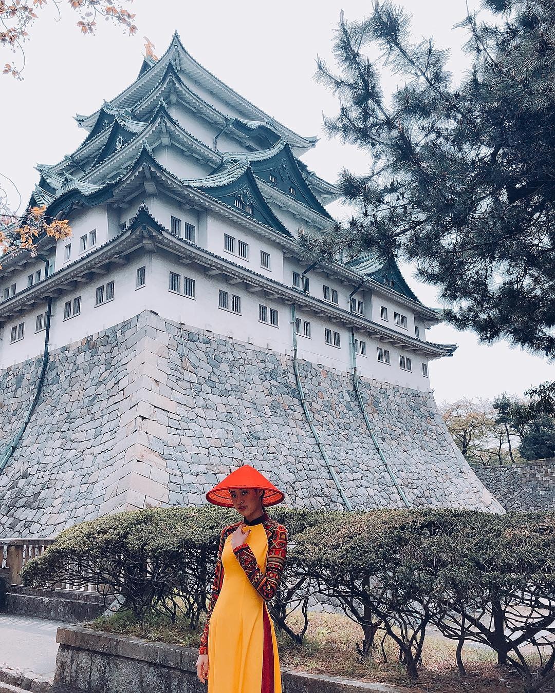 Hoa hau hoan vu VIet Nam anh 6