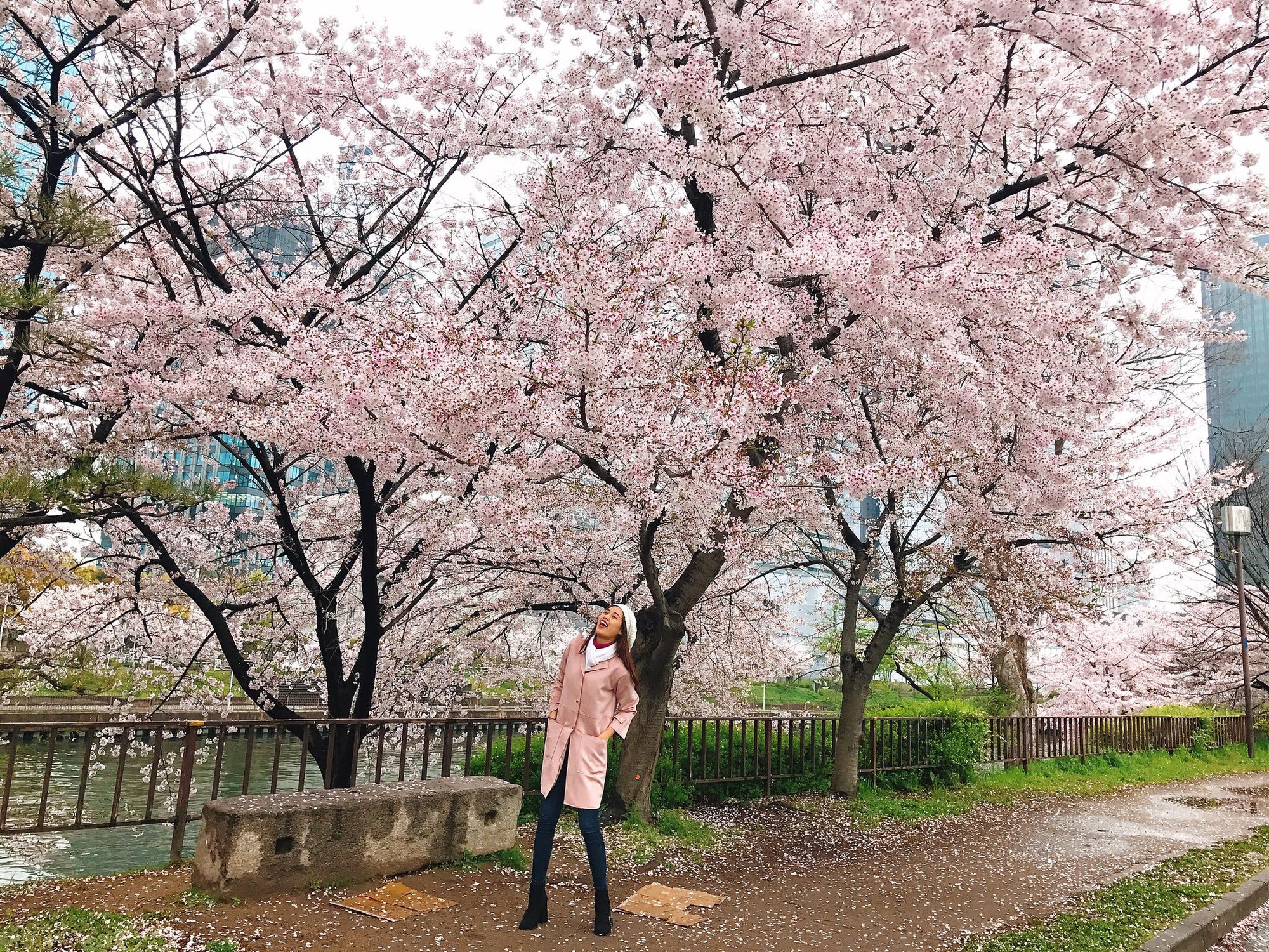 Hoa hau hoan vu VIet Nam anh 8