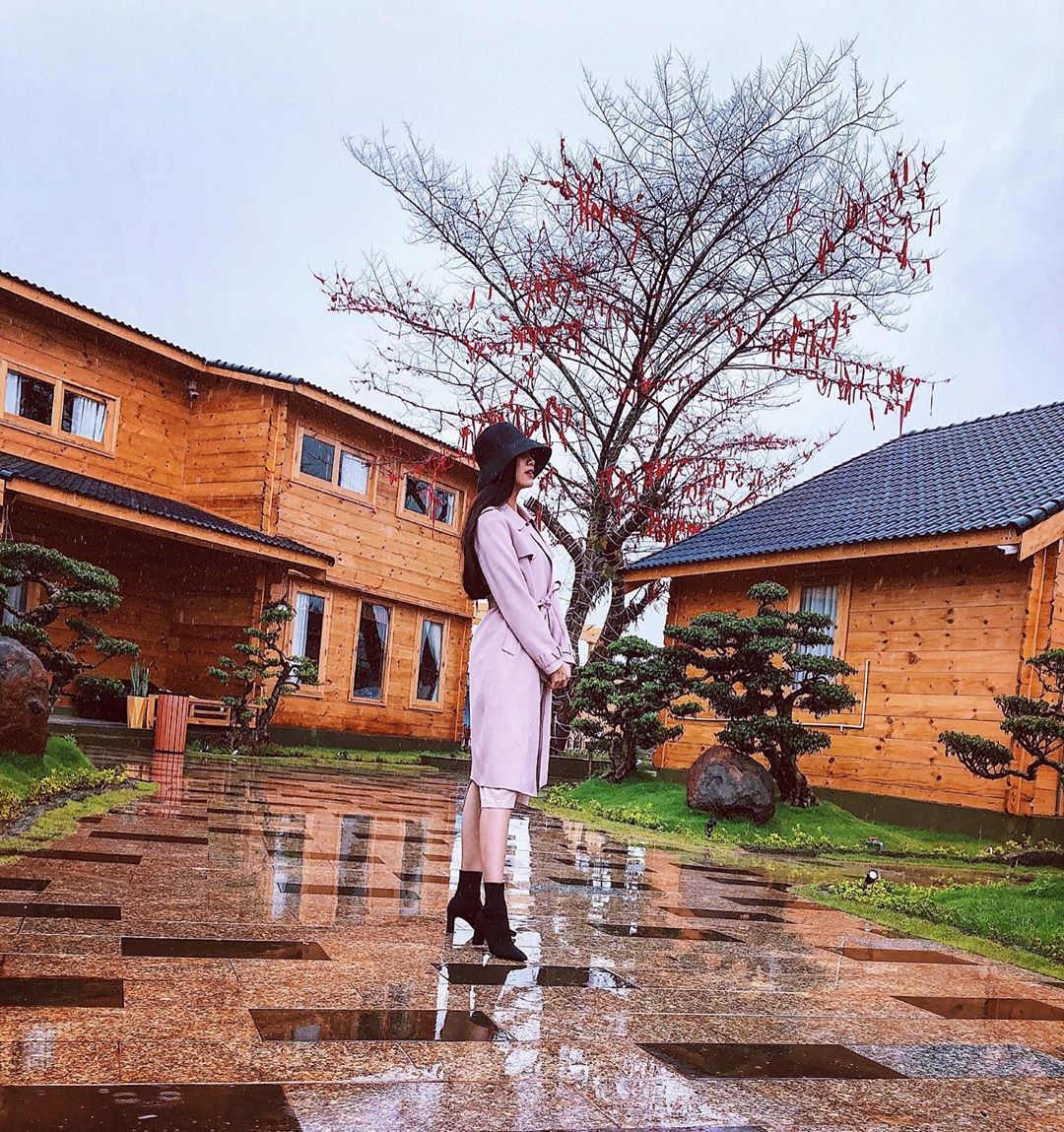 Hoa hau hoan vu VIet Nam anh 15