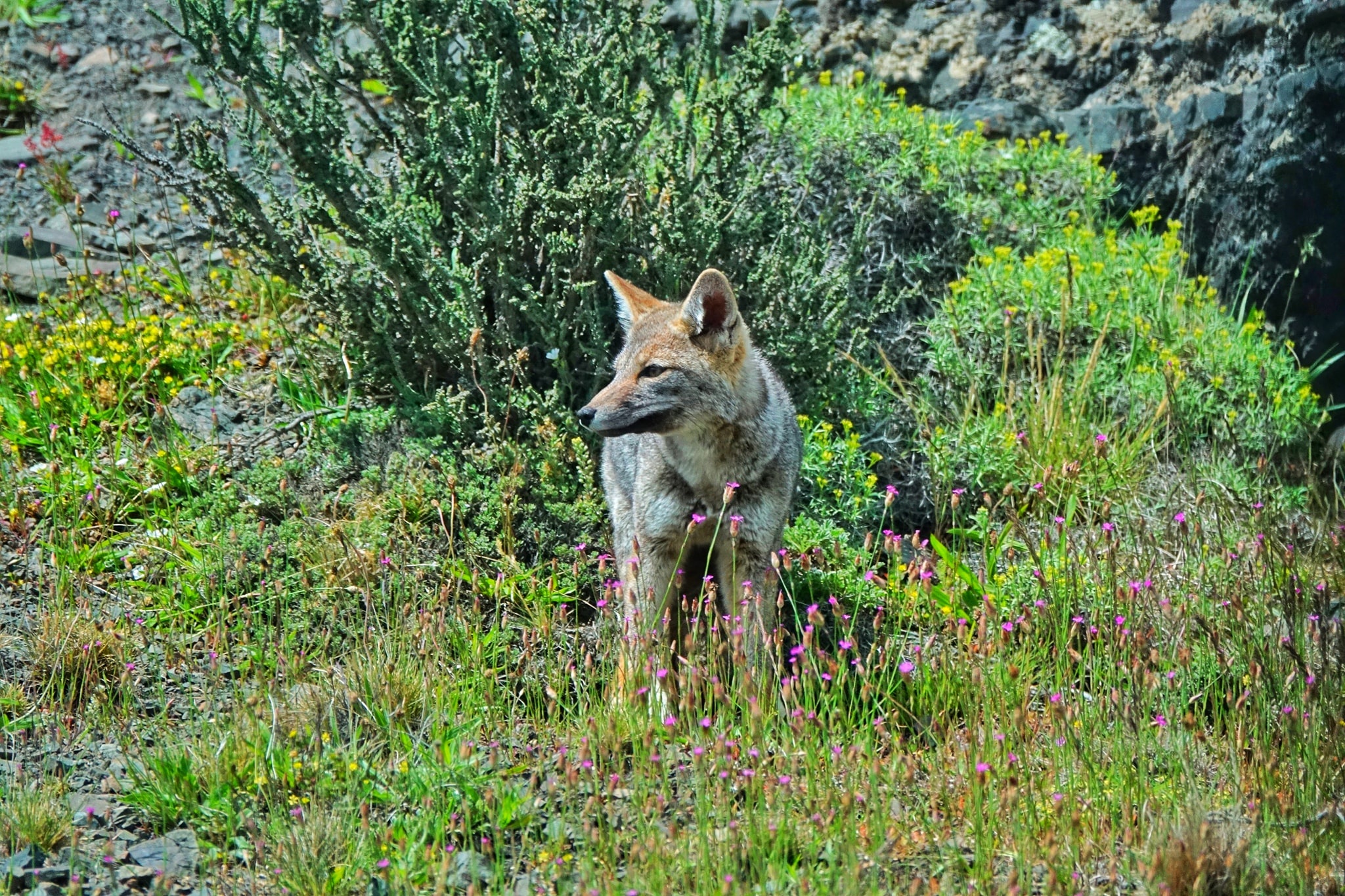 noi tan cung Trai Dat anh 18