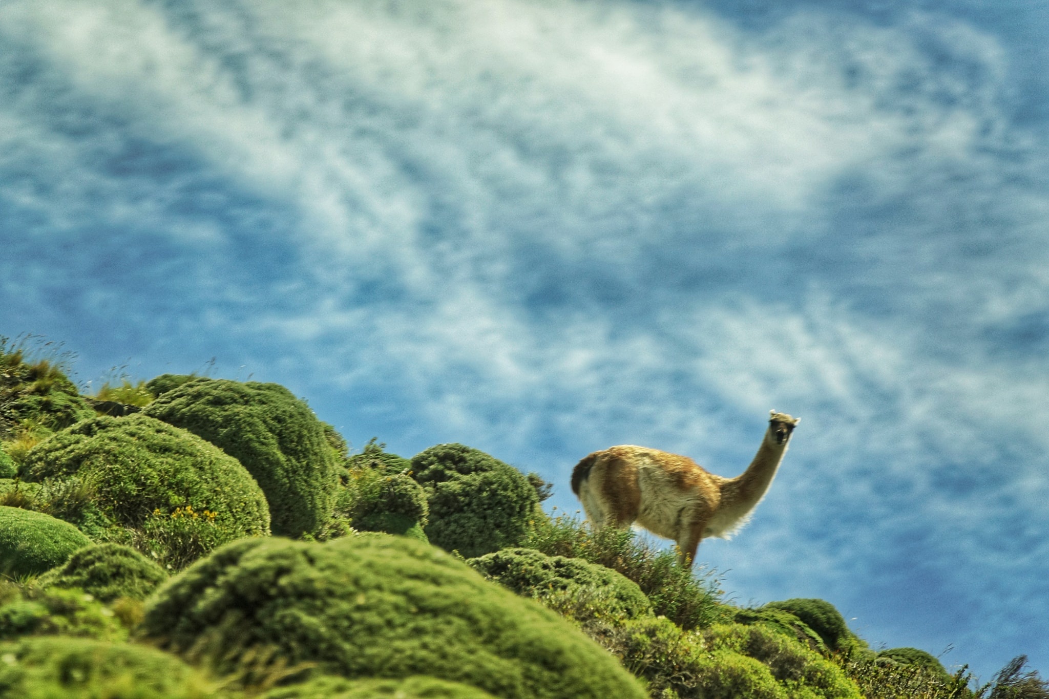 noi tan cung Trai Dat anh 9