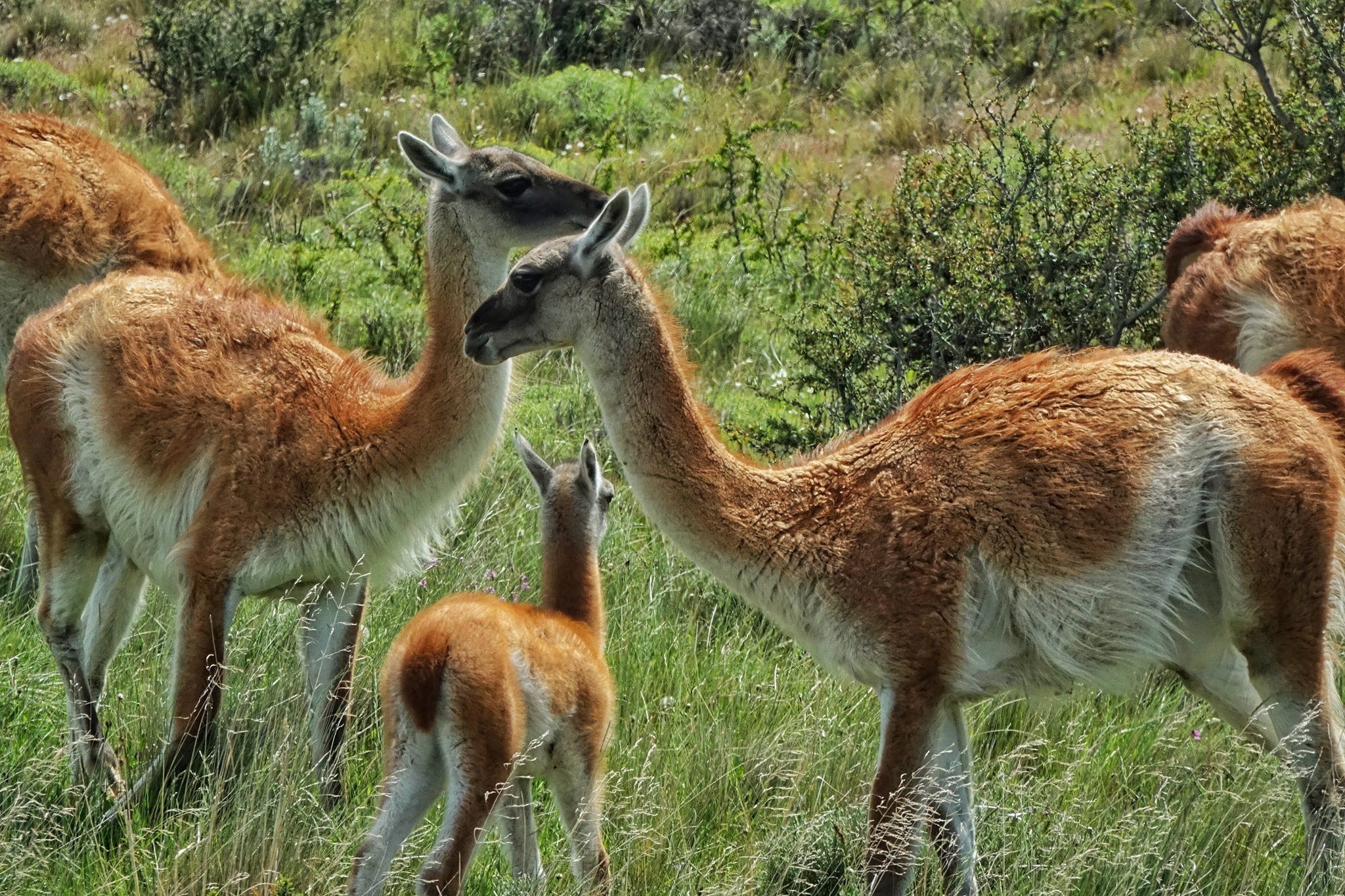 noi tan cung Trai Dat anh 14