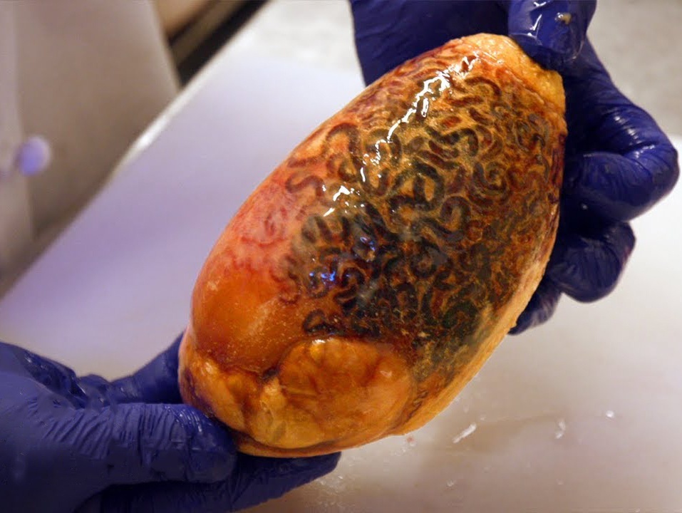 Mon ngau pin bo chien hut khach tai nha hang 100 tuoi o My hinh anh