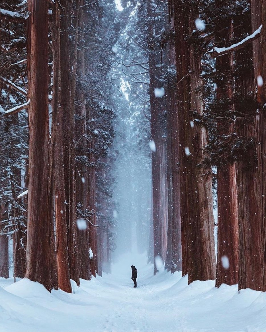 mua dong,  du lich mua dong,  dia diem du lich anh 3