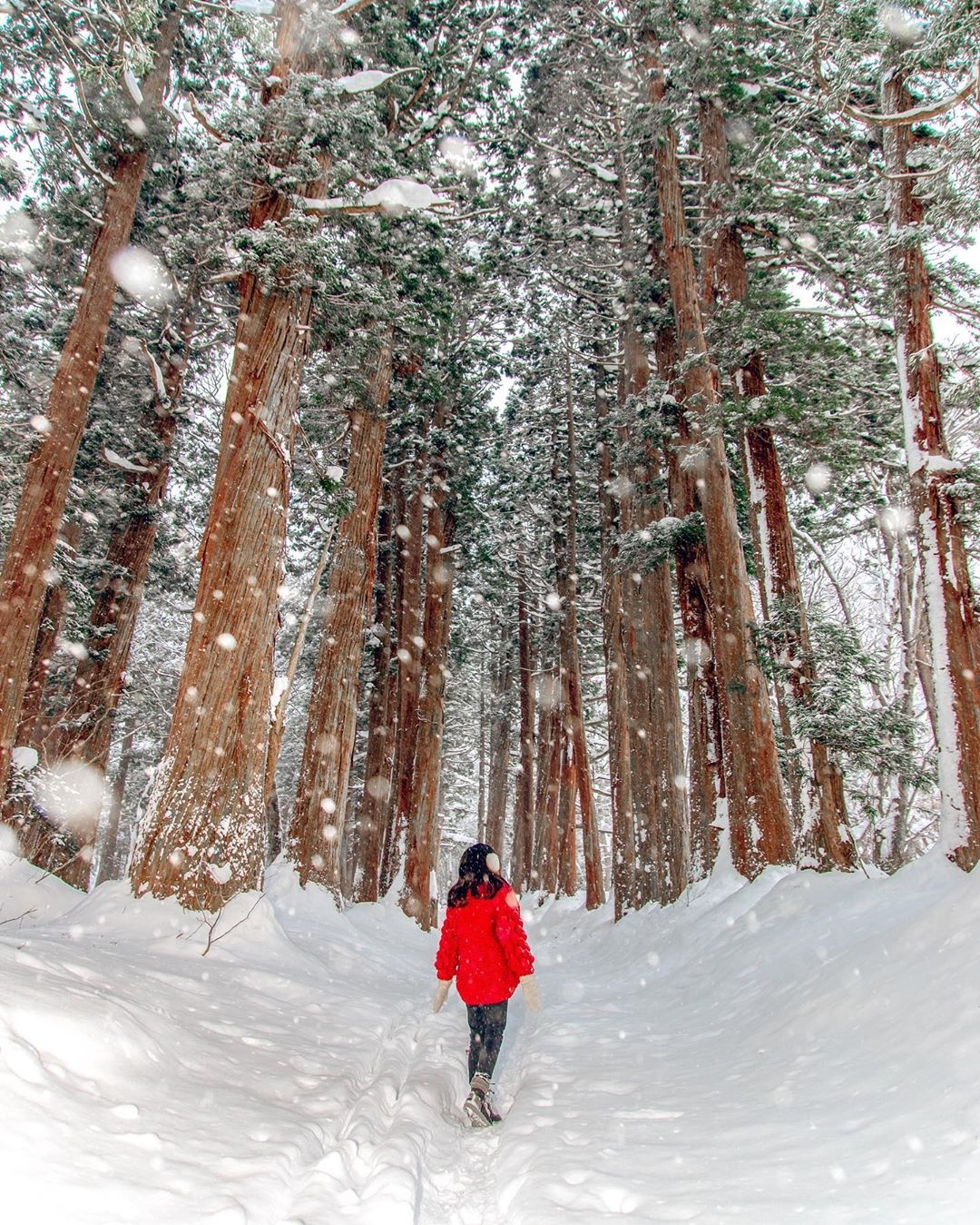 mua dong,  du lich mua dong,  dia diem du lich anh 2