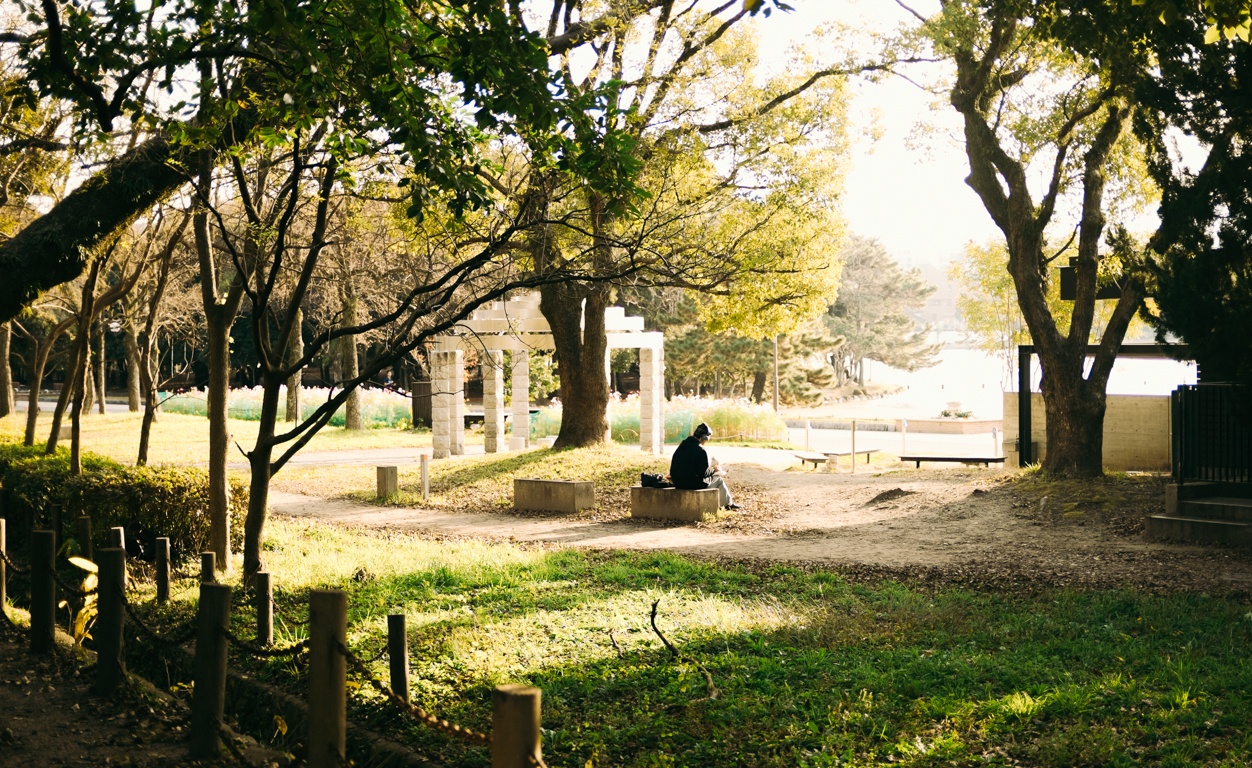Nhat Ban - thien duong cua nhiep anh duong pho hinh anh