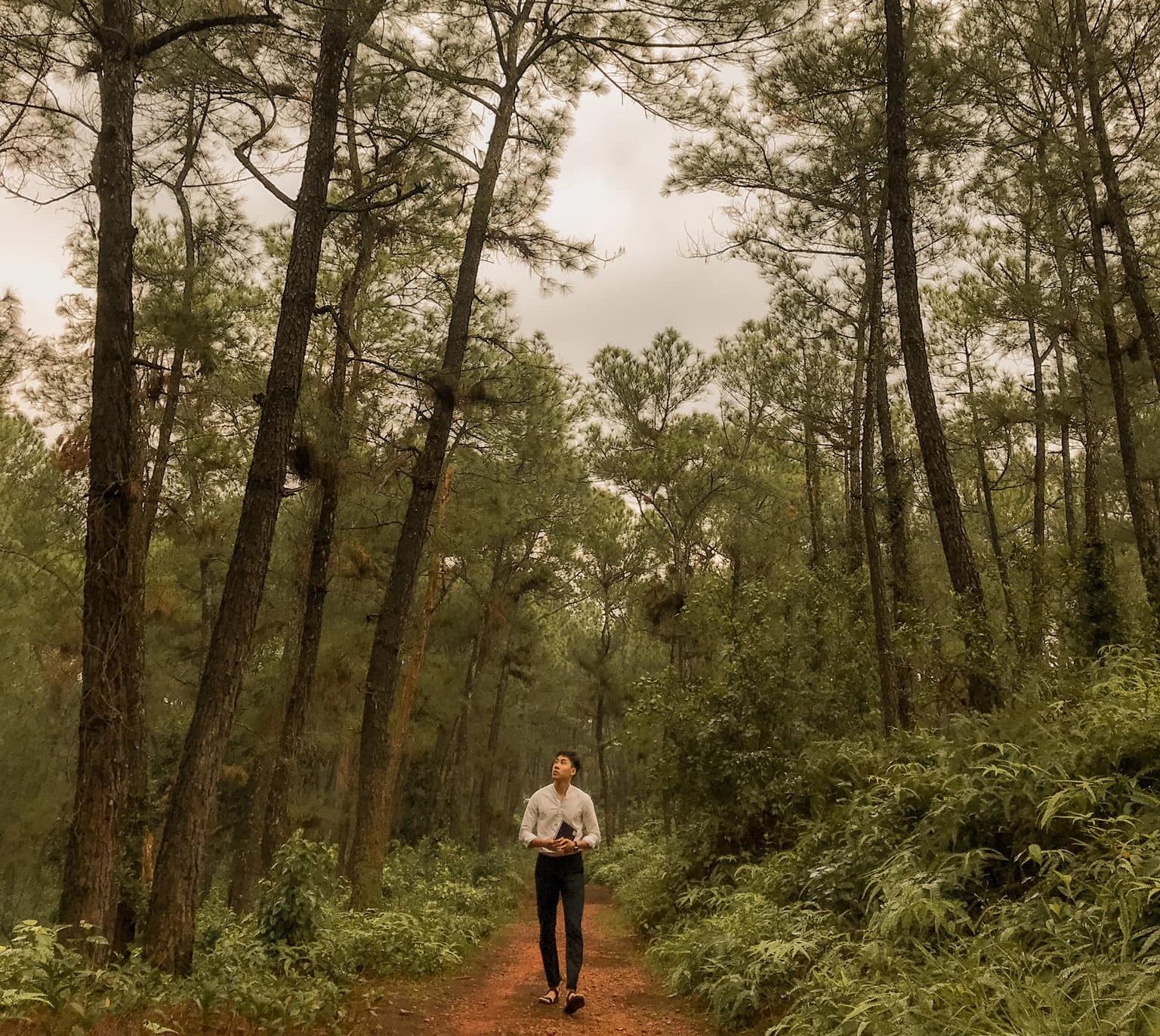 phim truong mat biec anh 3