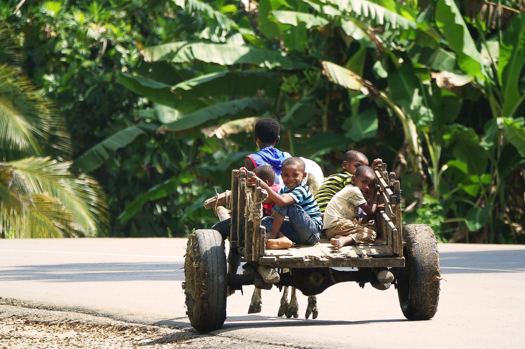 neo duong chau phi anh 23