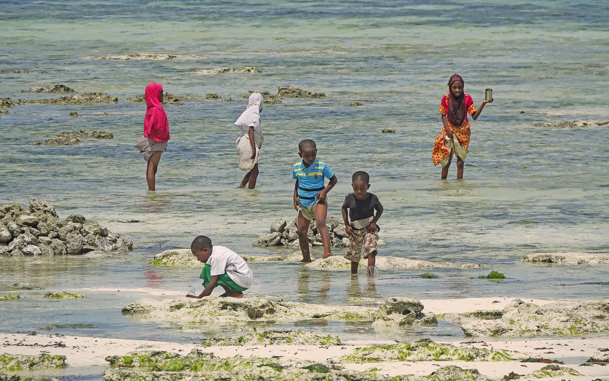 neo duong chau phi anh 1