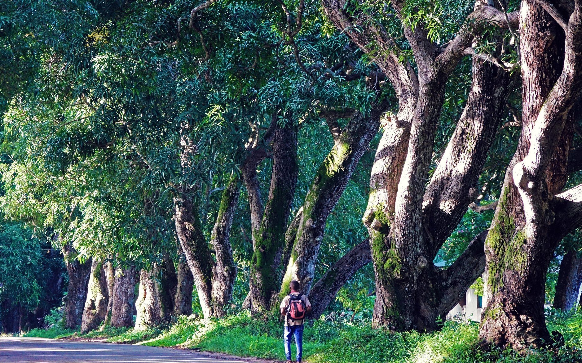 neo duong chau phi anh 24