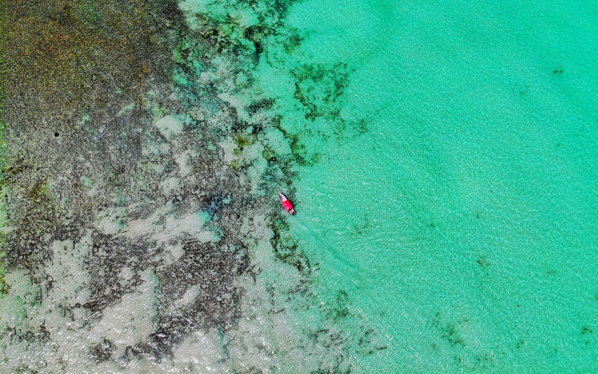 neo duong chau phi anh 10