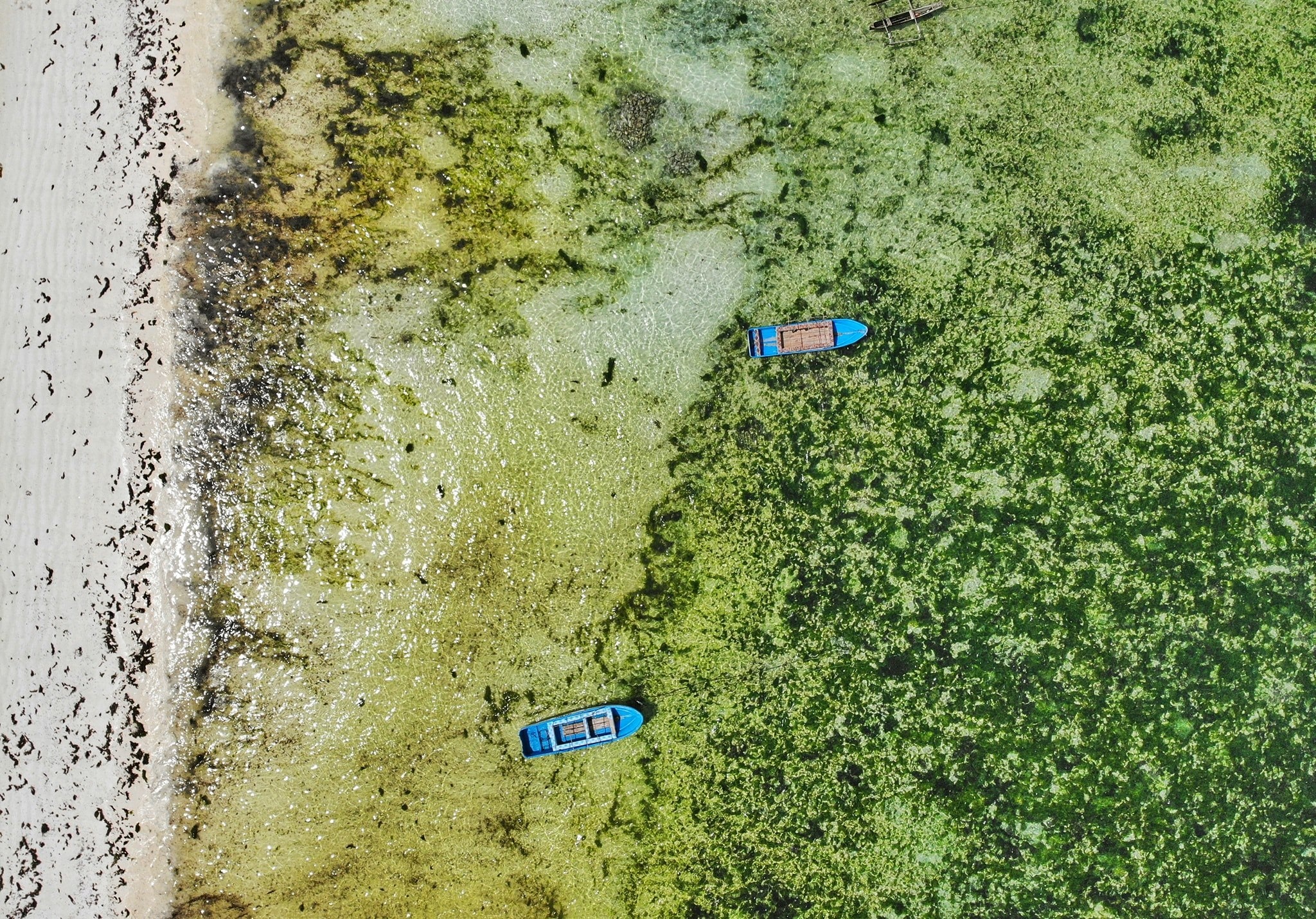 neo duong chau phi anh 8