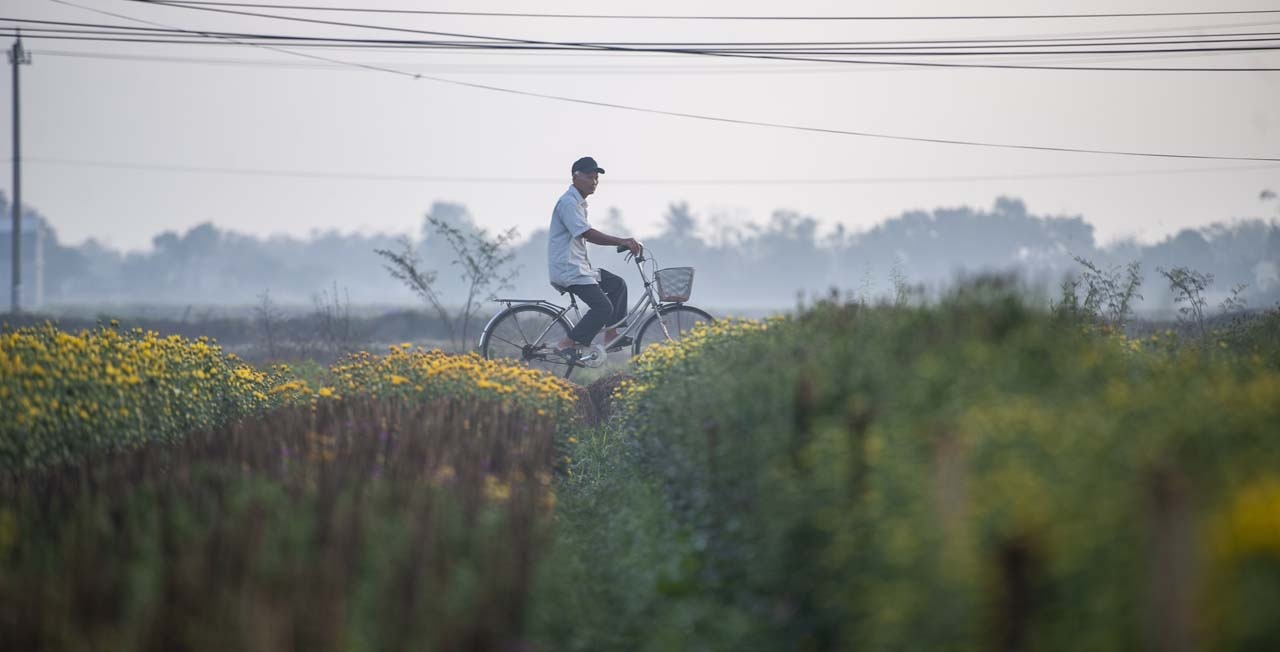lang hoa xu Hue anh 19