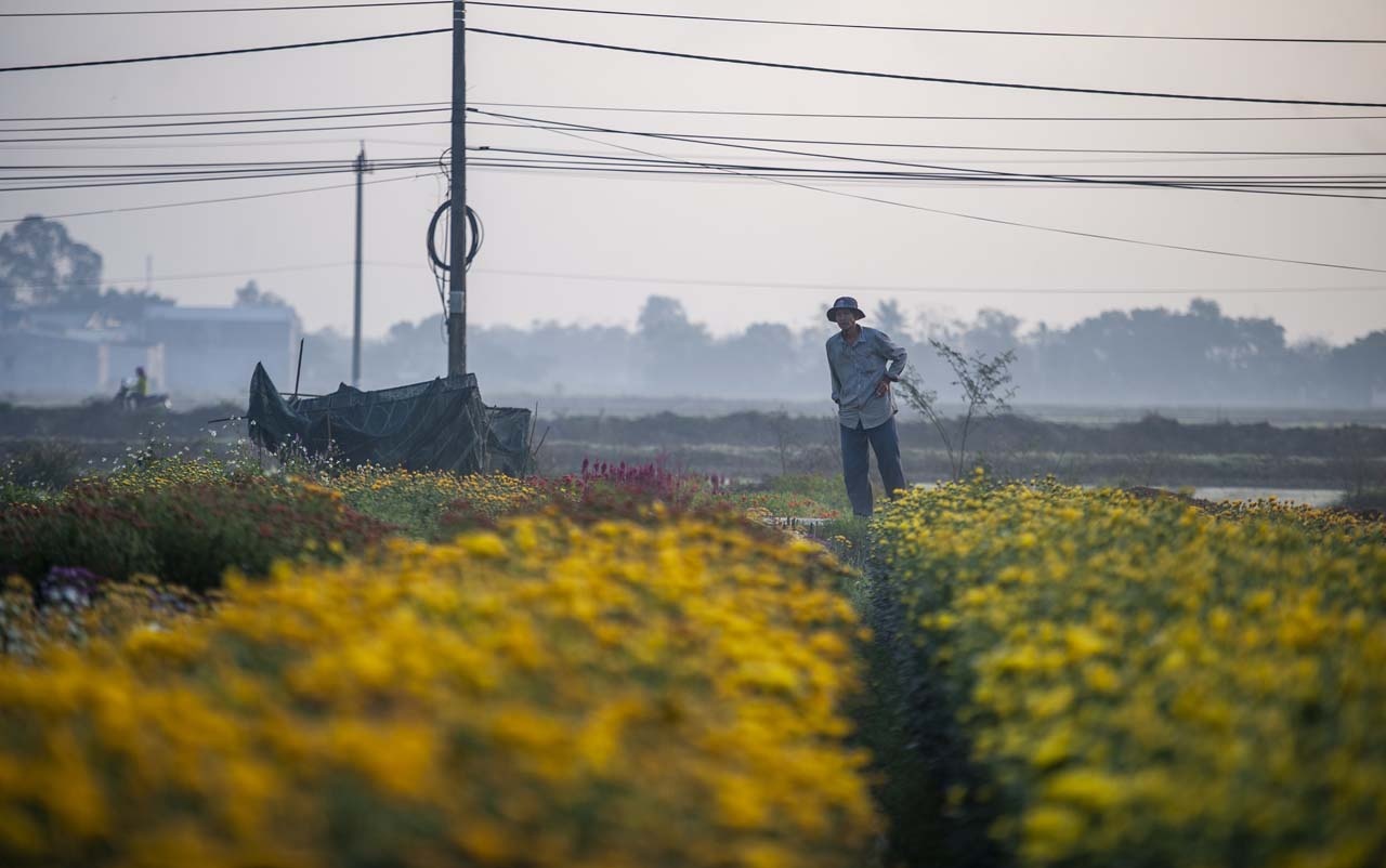 lang hoa xu Hue anh 17