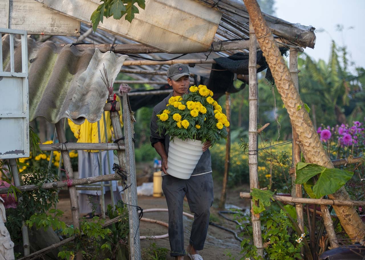 lang hoa xu Hue anh 21
