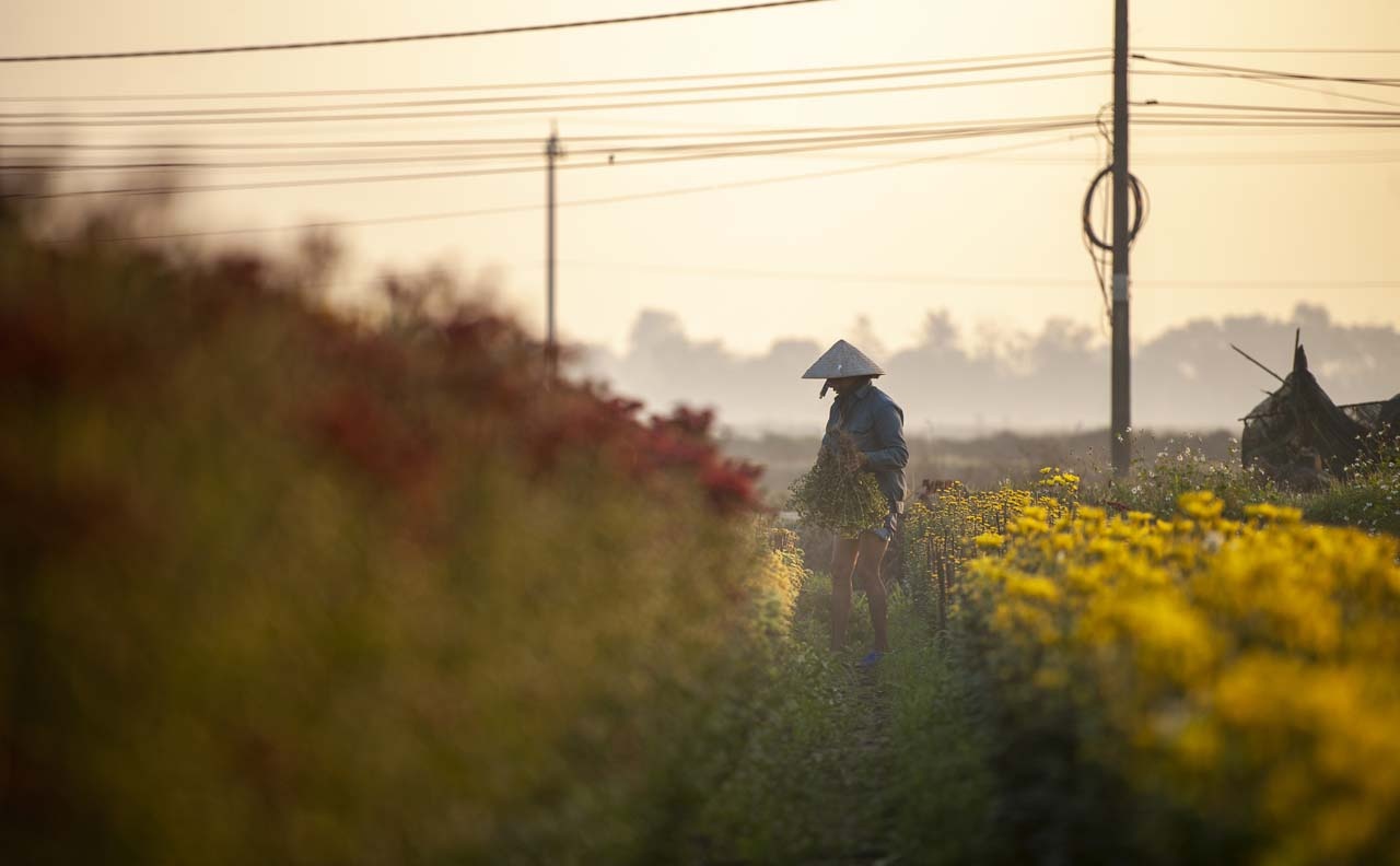 lang hoa xu Hue anh 8