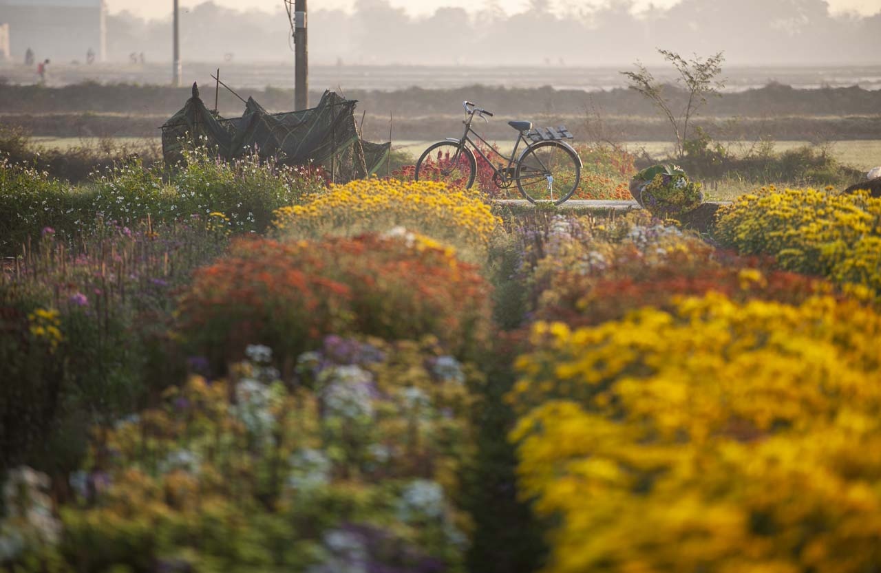 lang hoa xu Hue anh 2