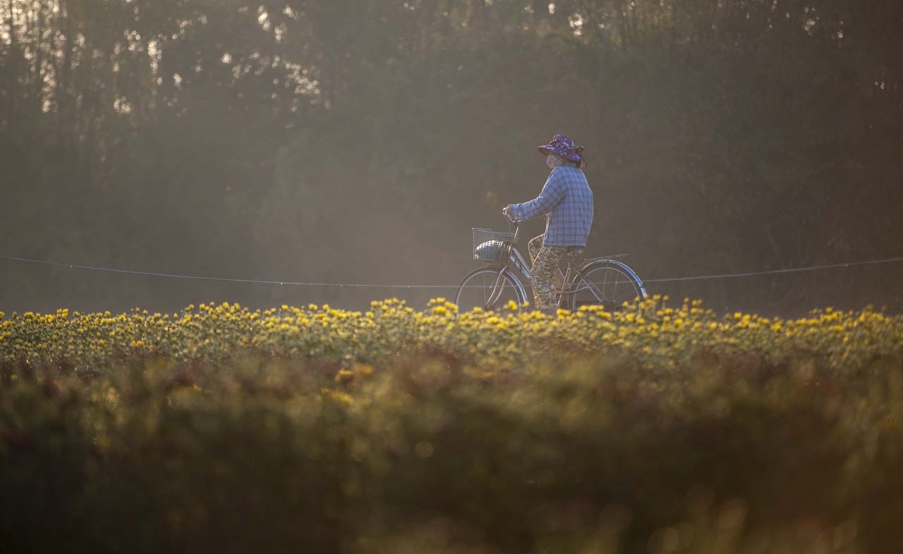 lang hoa xu Hue anh 9