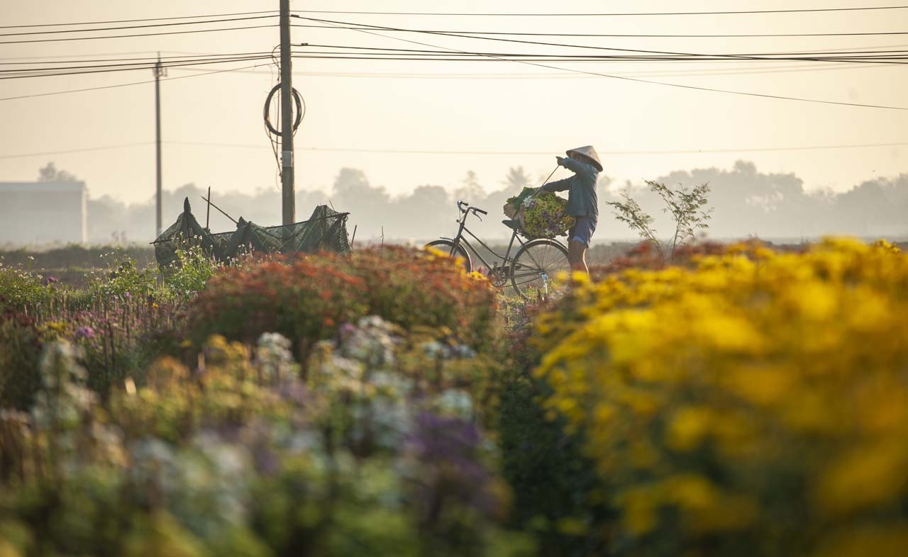 lang hoa xu Hue anh 3