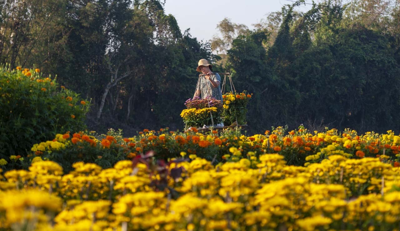 lang hoa xu Hue anh 6