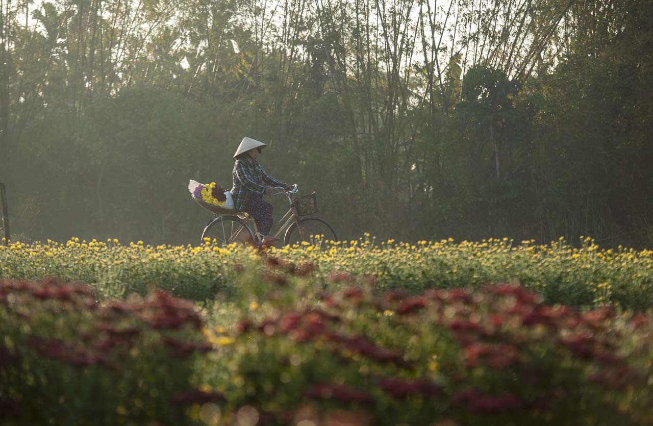lang hoa xu Hue anh 4