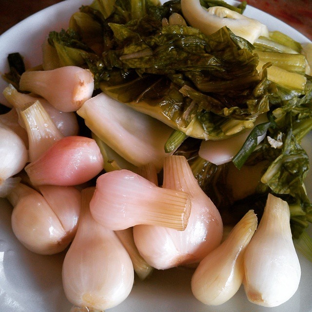 mam com tet mien bac anh 8