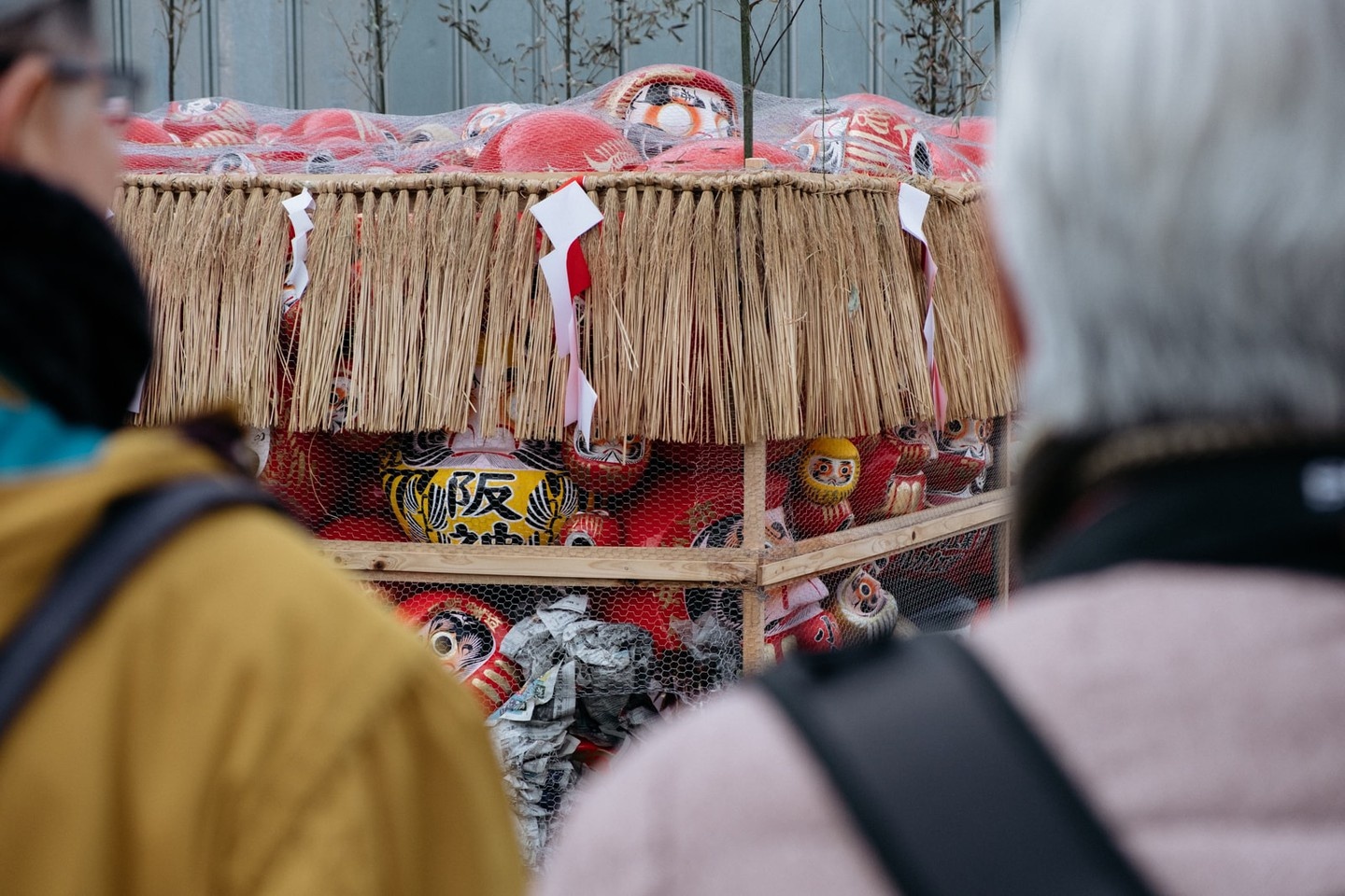 dot bup be Daruma anh 3