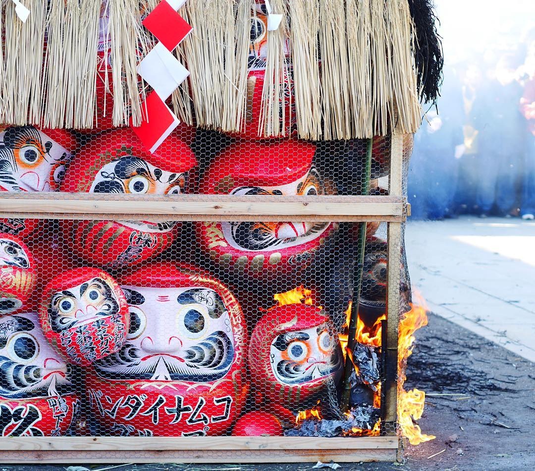 dot bup be Daruma anh 2