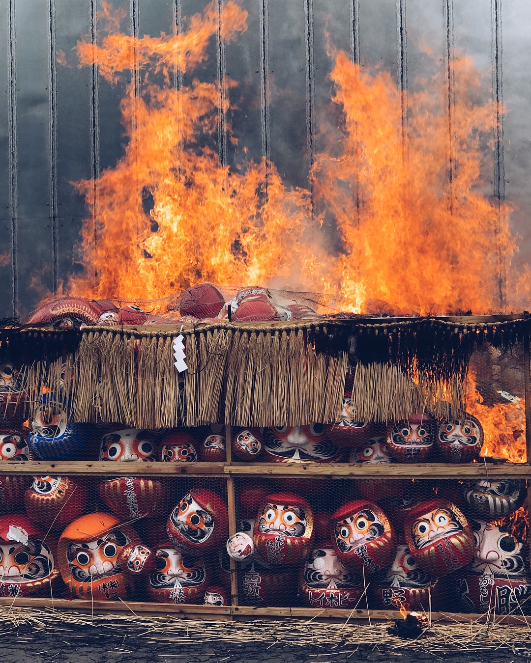 đốt búp bê Daruma ảnh 4 dot bup be Daruma anh 4