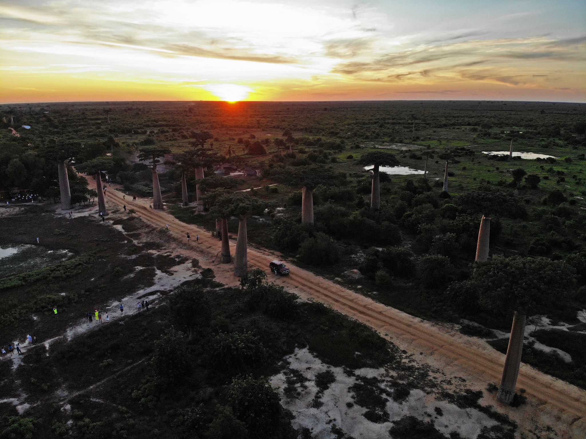 dai lo cay moc nguoc anh 6