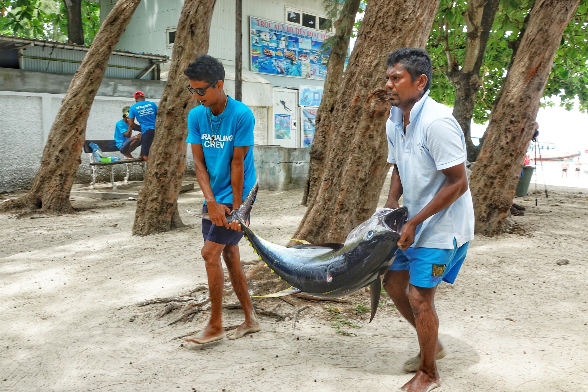 quoc dao Mauritius anh 17