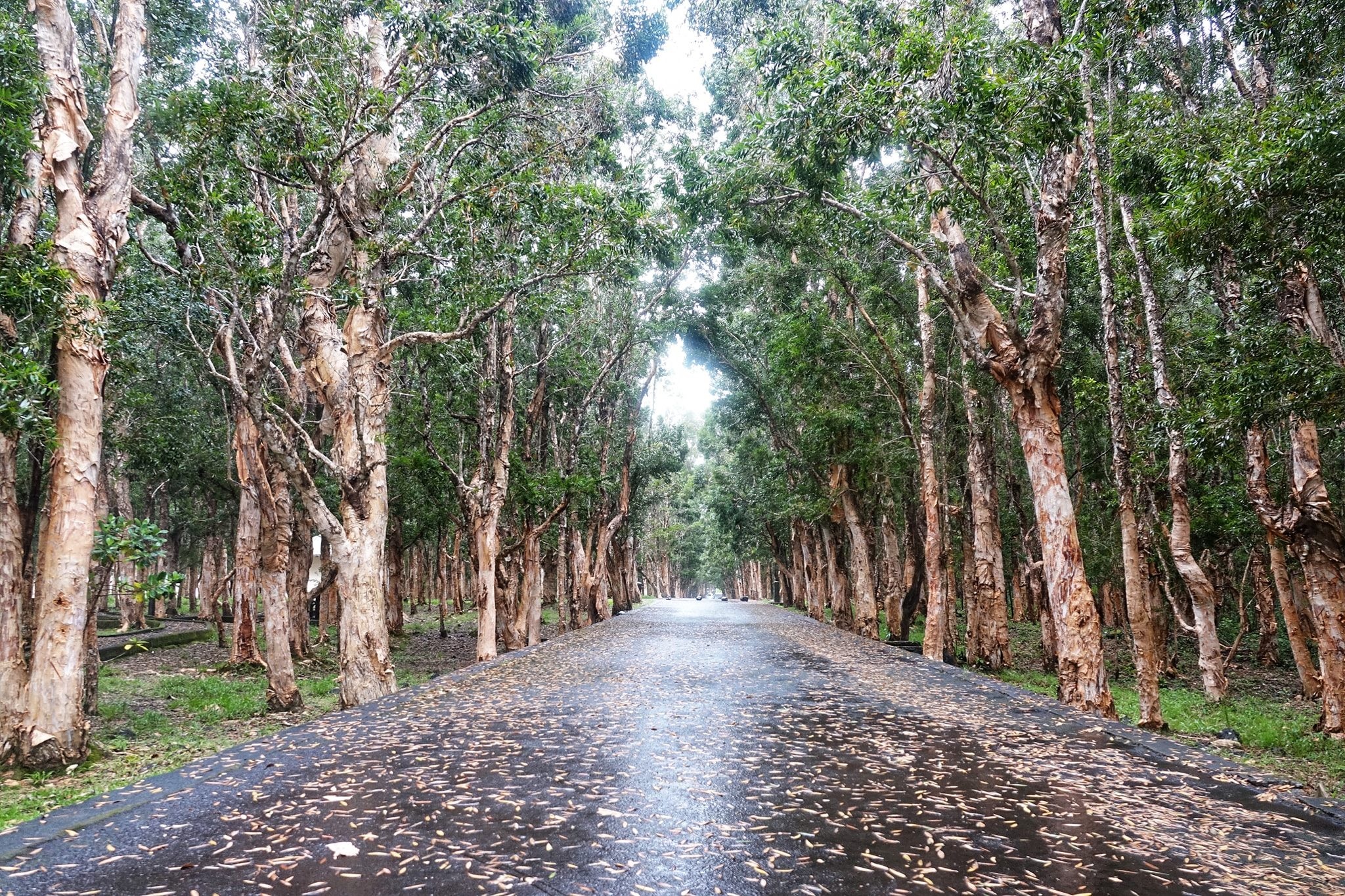 quoc dao Mauritius anh 8