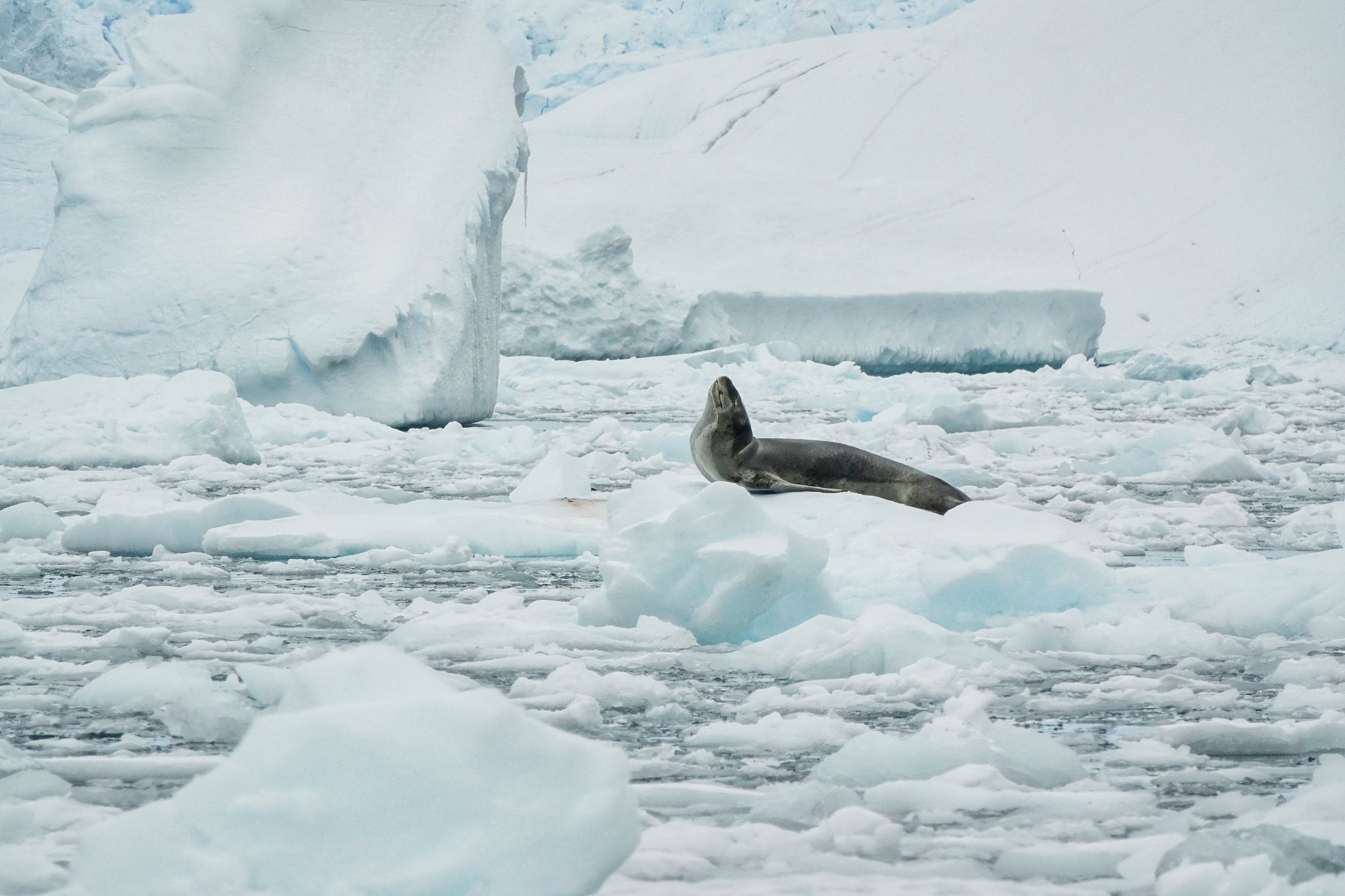 luc dia thu 7 anh 15