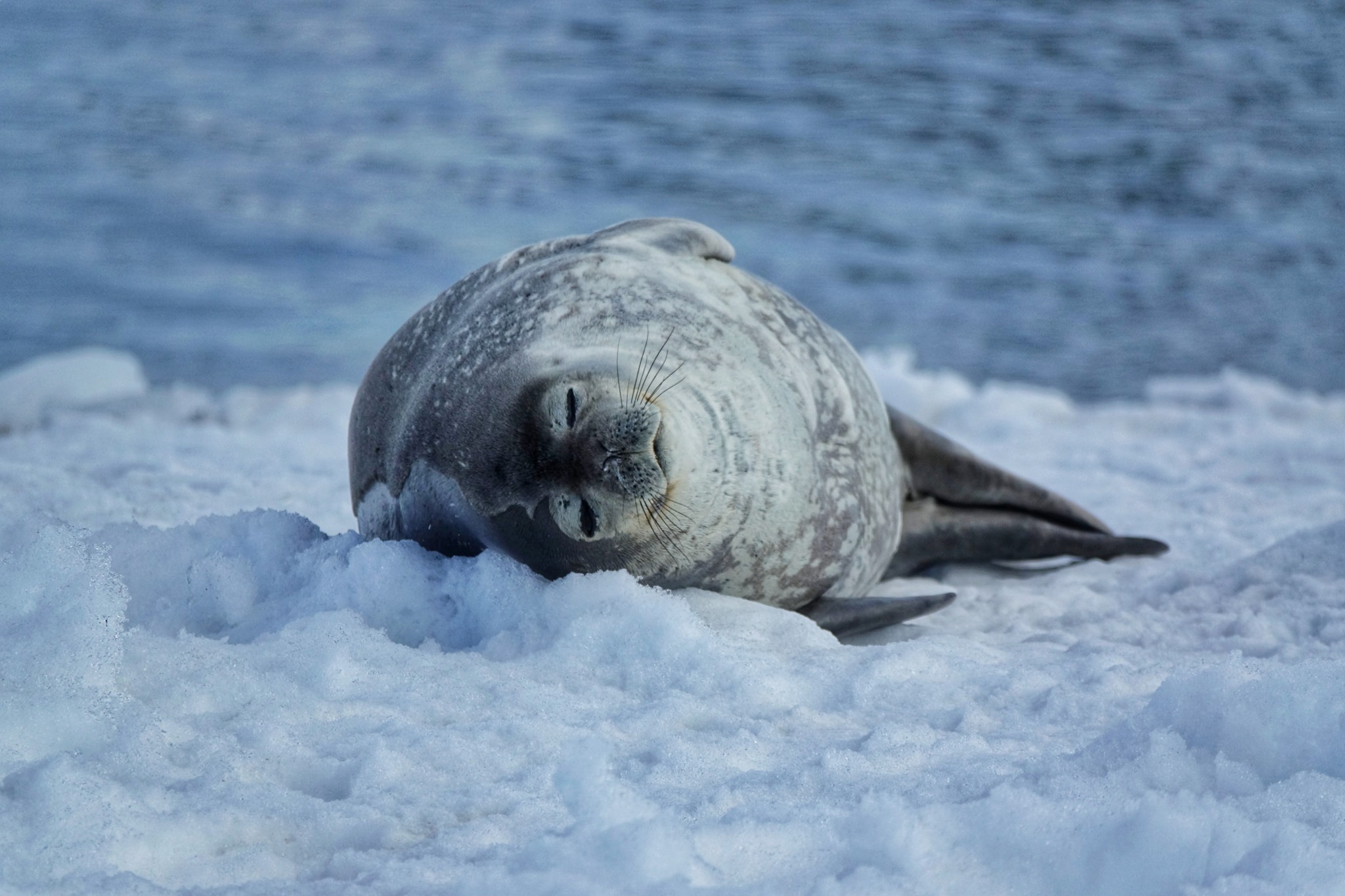 luc dia thu 7 anh 21