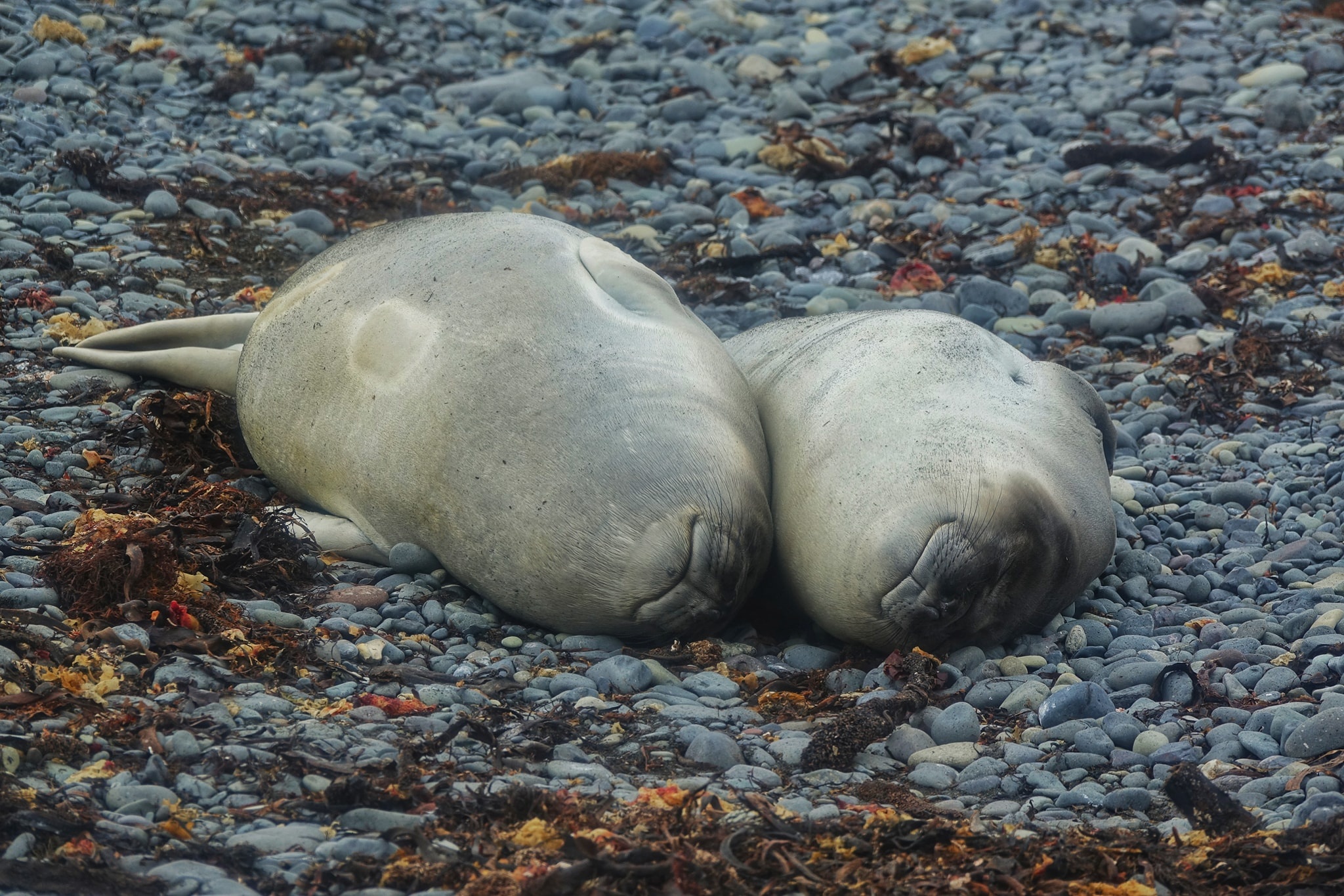 luc dia thu 7 anh 22