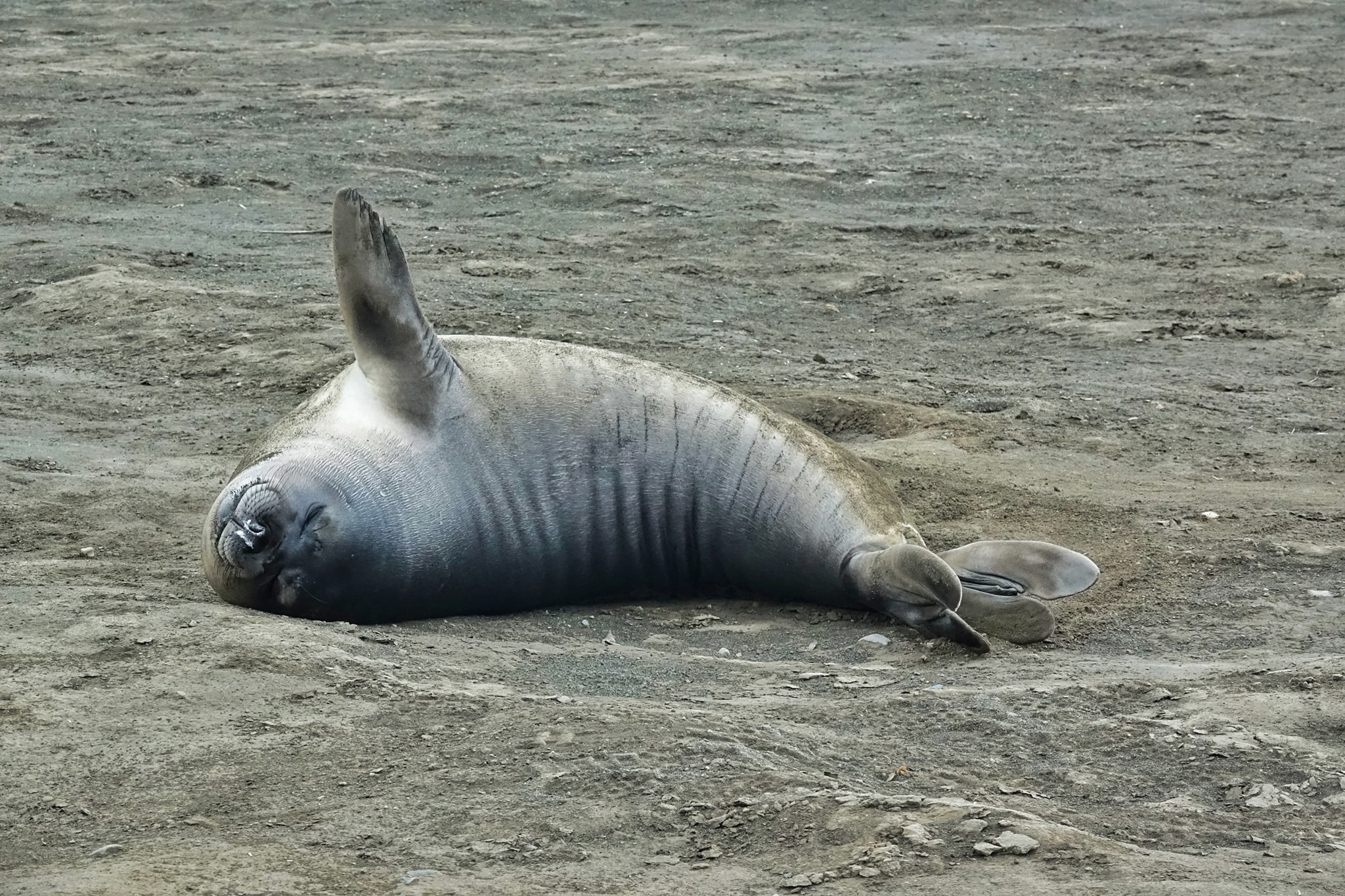 luc dia thu 7 anh 23