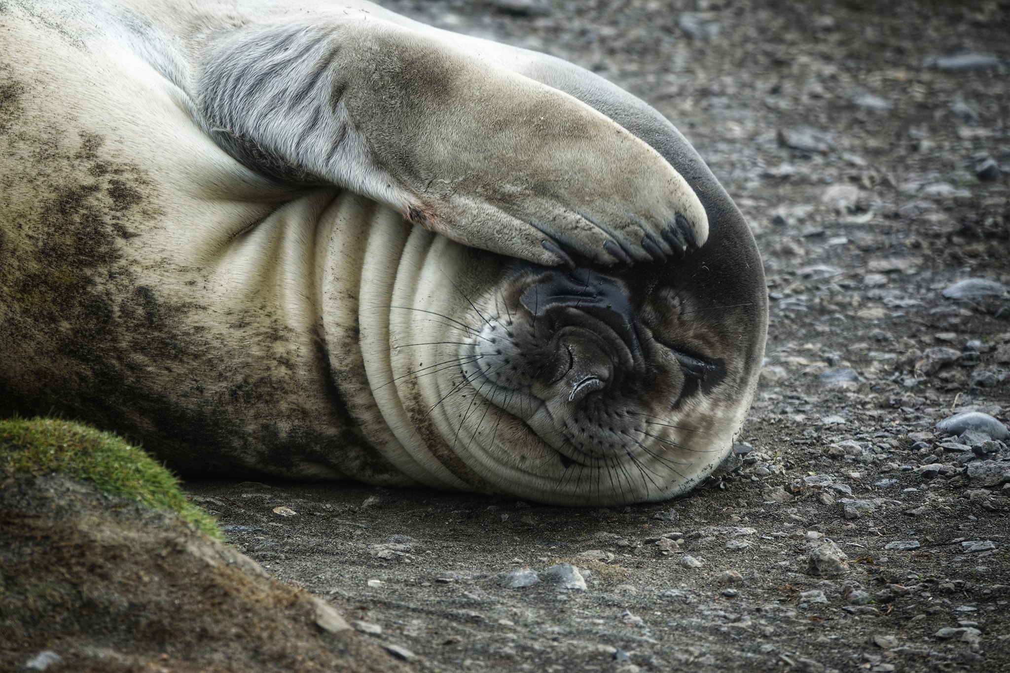 luc dia thu 7 anh 24