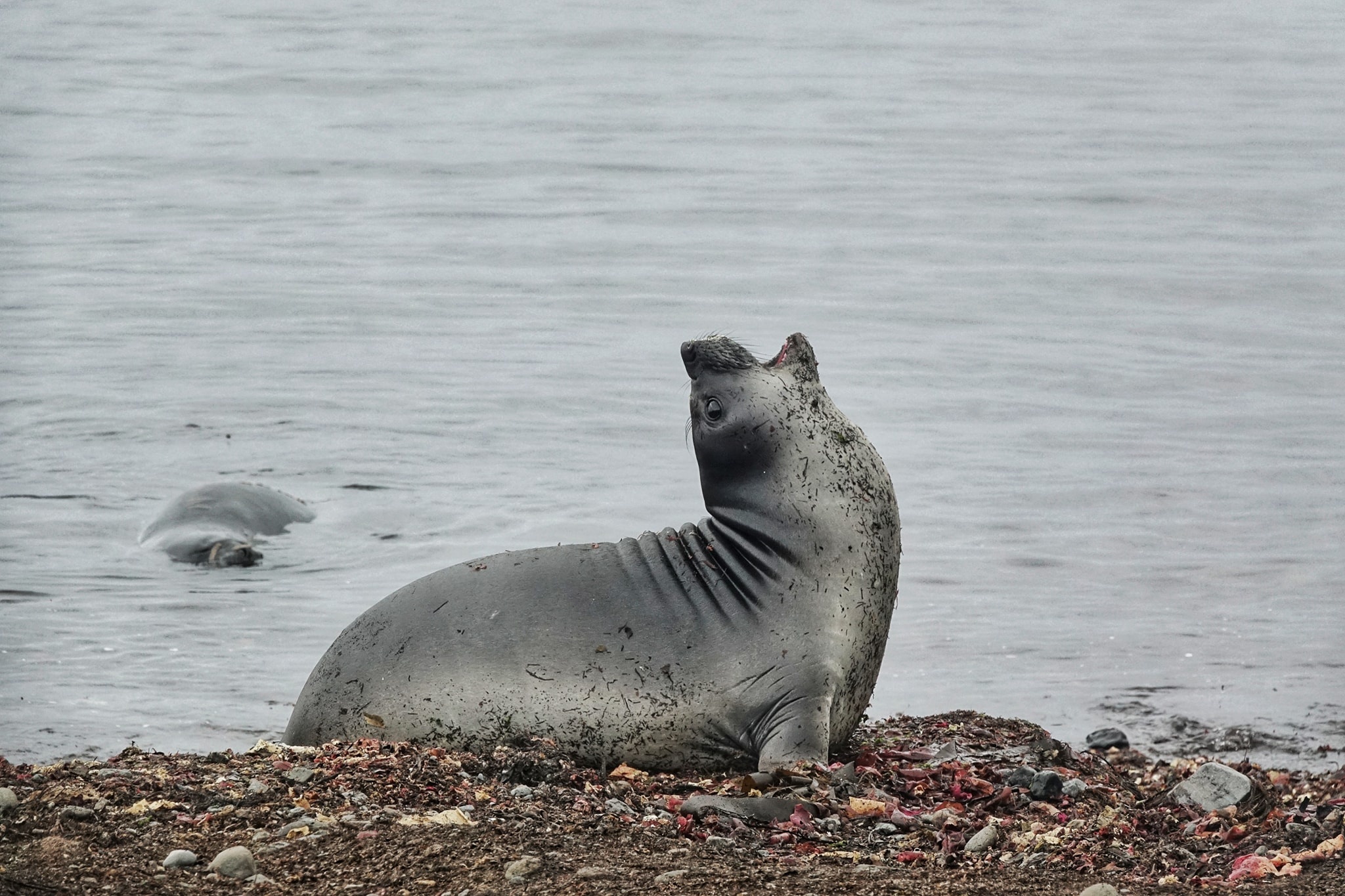 luc dia thu 7 anh 25
